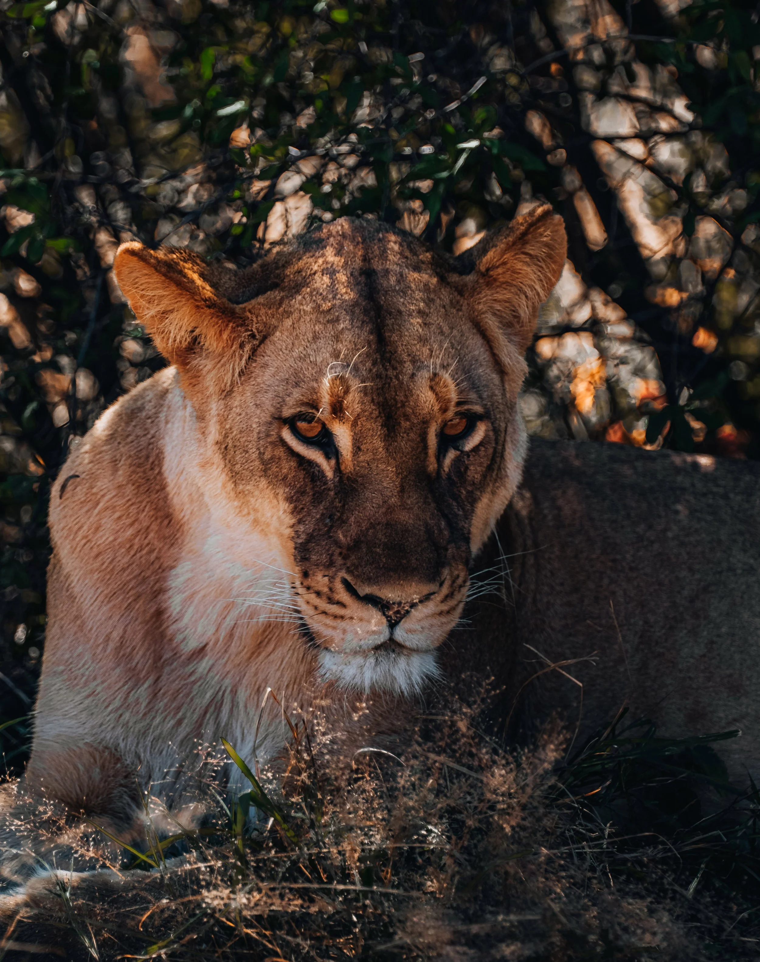 zimbabwe travel guide