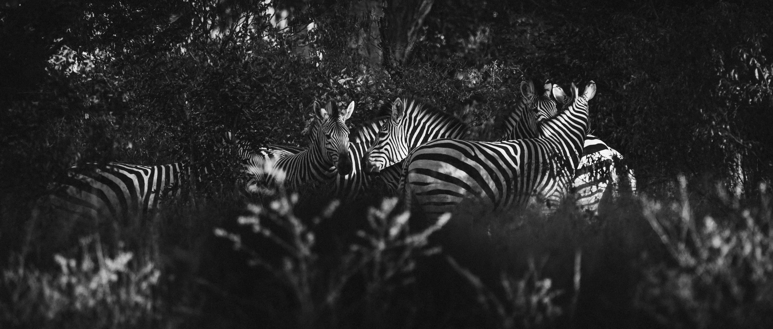 zimbabwe travel guide