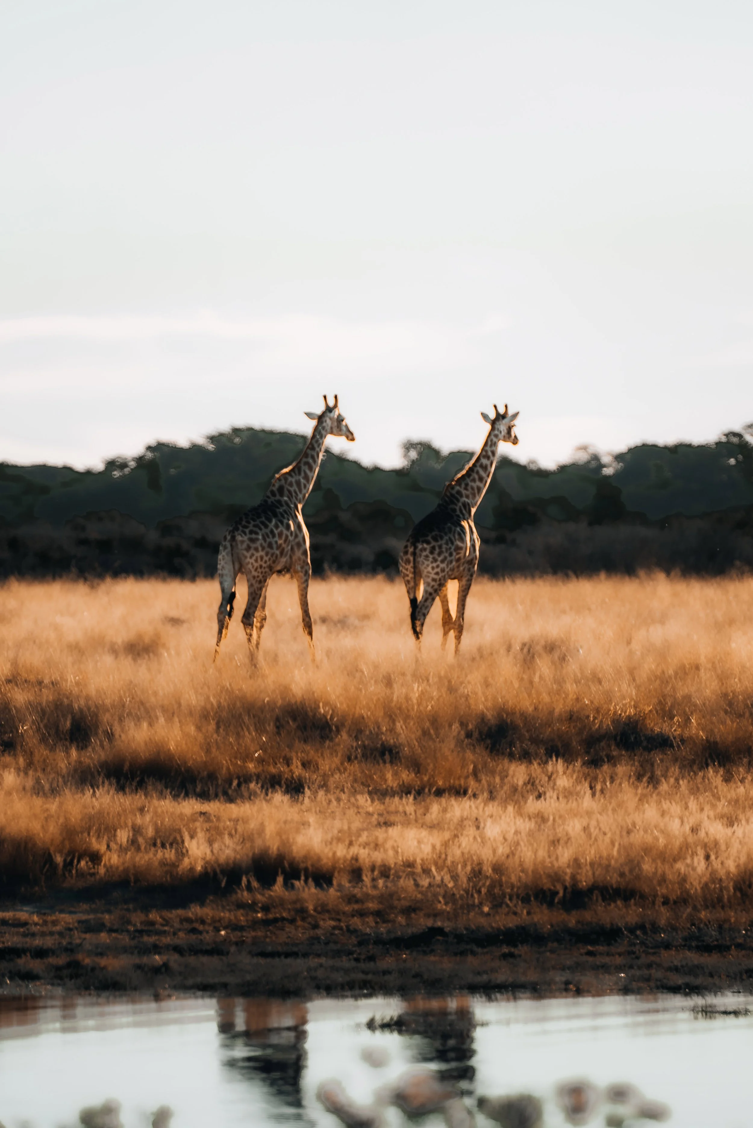 zimbabwe travel guide
