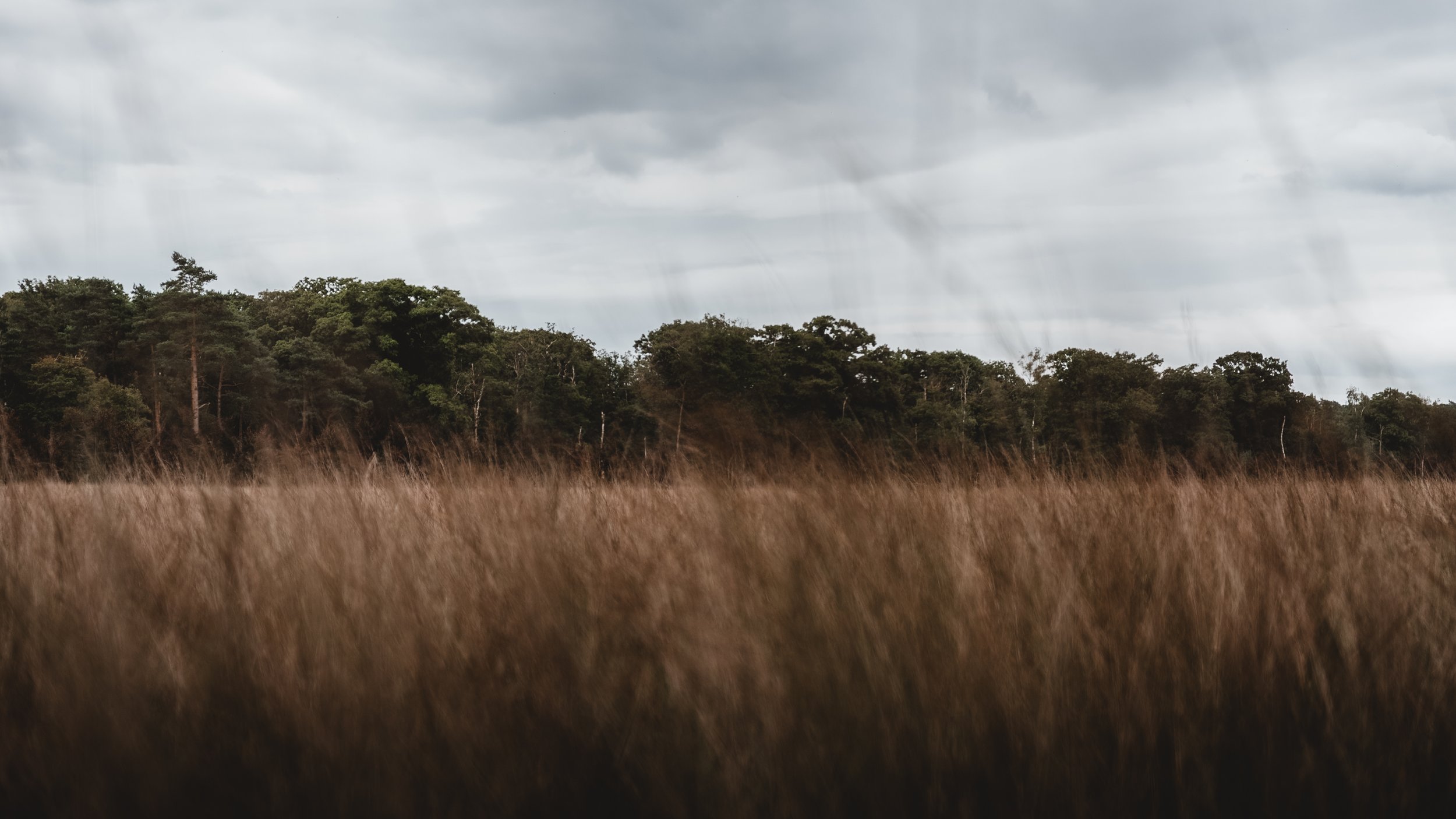 wat te doen in de veluwe
