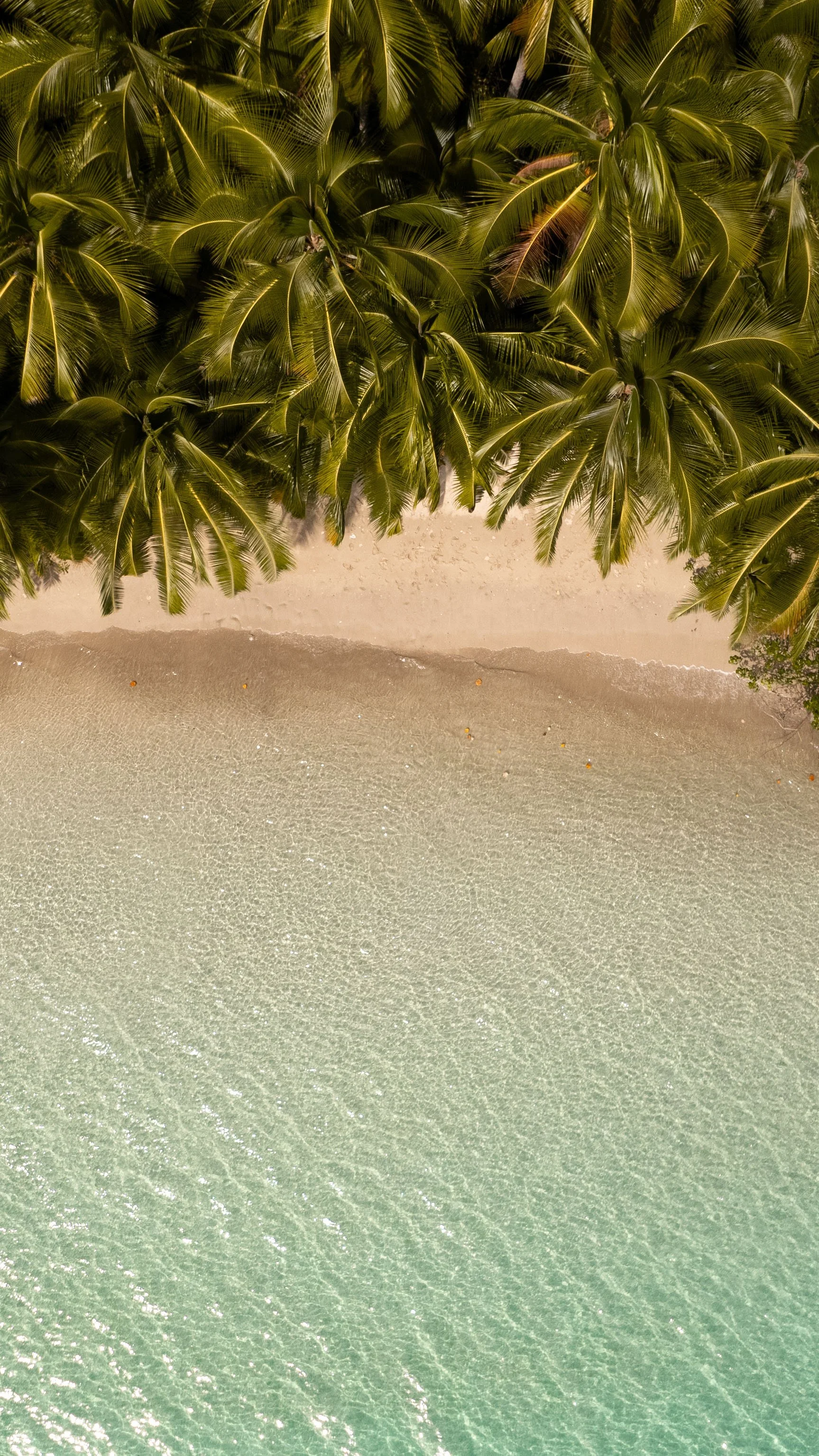 panama travel guide