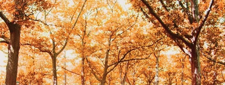 Unforeseen Grace - Portland (5:00 p.m.)