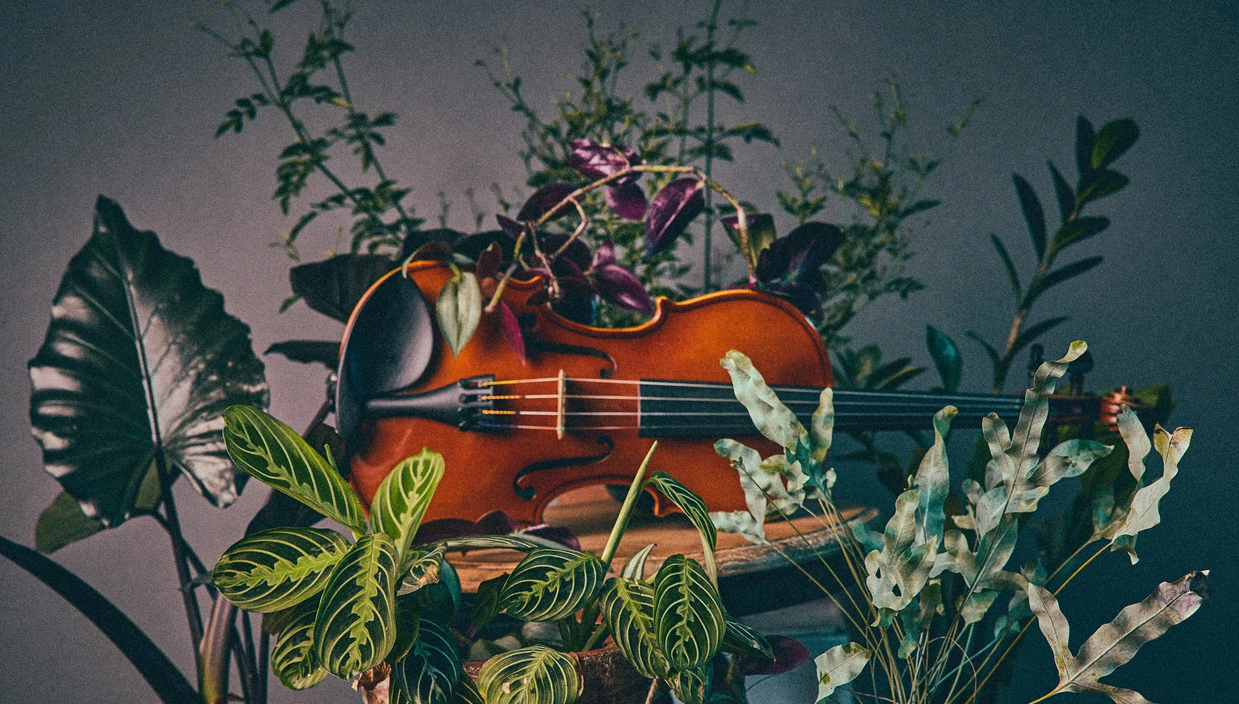 A Passion for the Planet — Brunswick