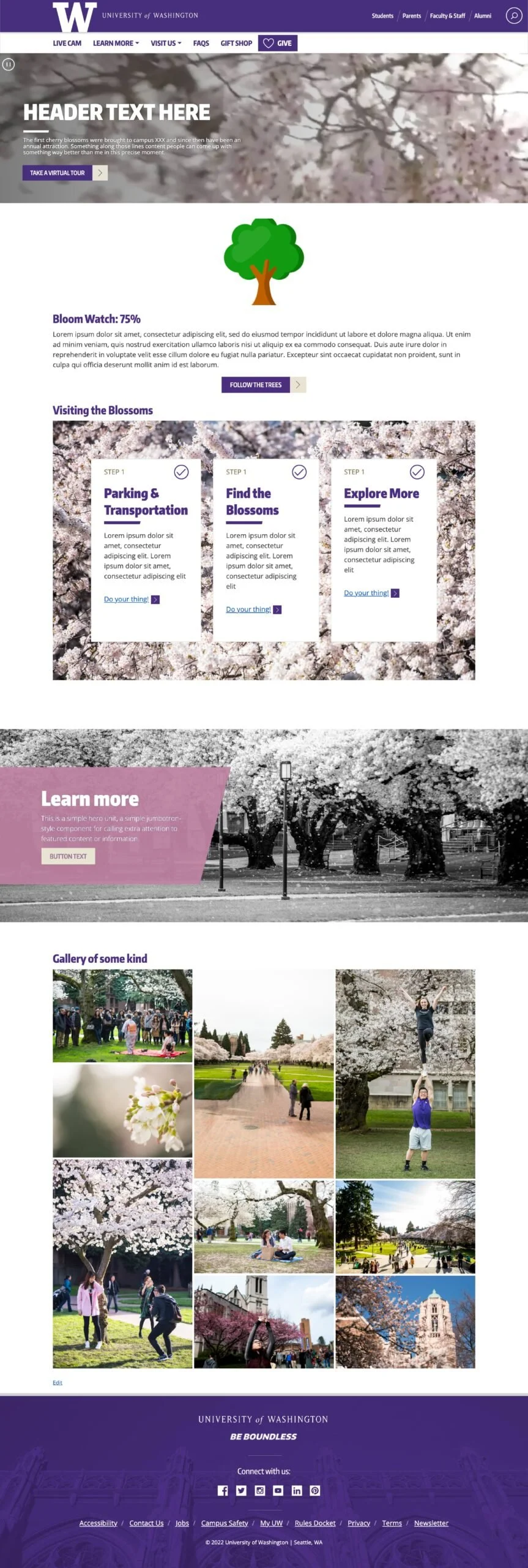 Screenshot of the first cherry blossom homepage prototype