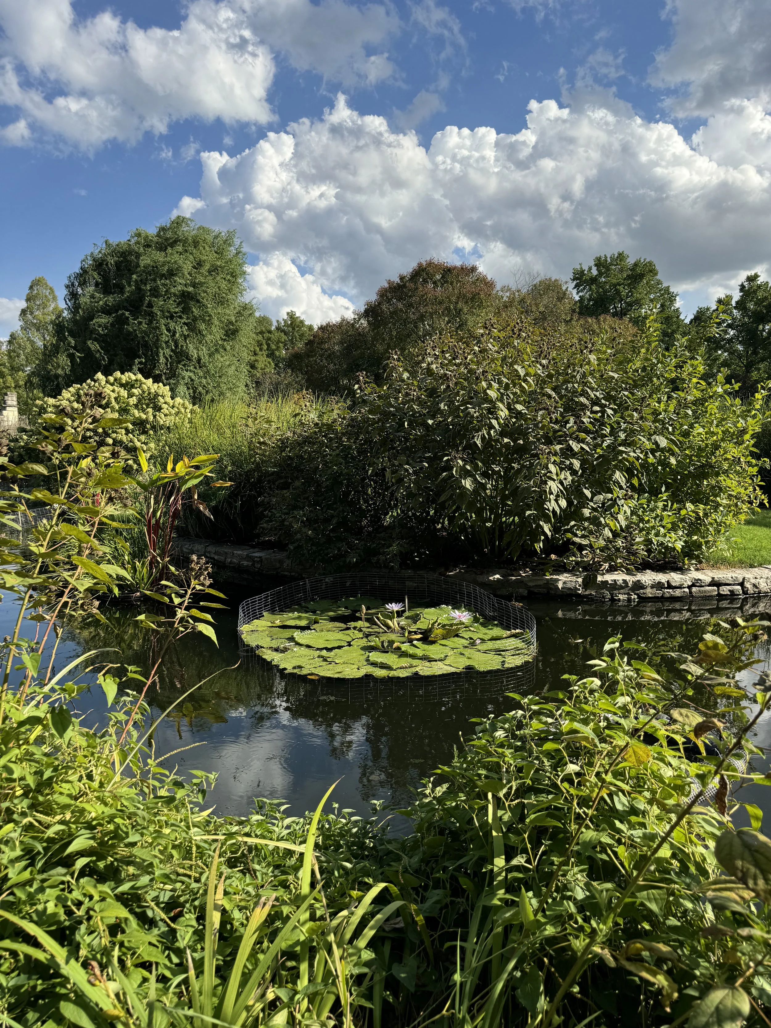 IMG_0009.jpeg