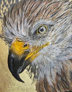IMG_3247.jpeg