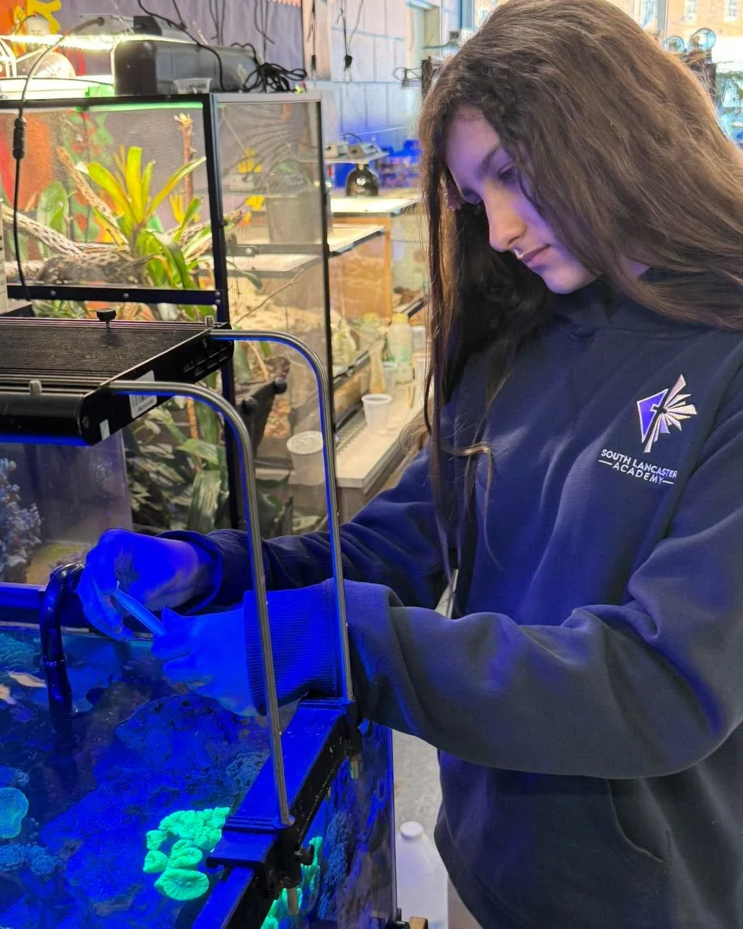 🐠🪸SLA has many clubs  for students to join; check out one of the most unique ones! 

Mr. Bissell,6th grade teacher,  has been hosting Reef Club for 2 years now.
Students in the club learn
about how to care for salt
water tanks, and all the
creature