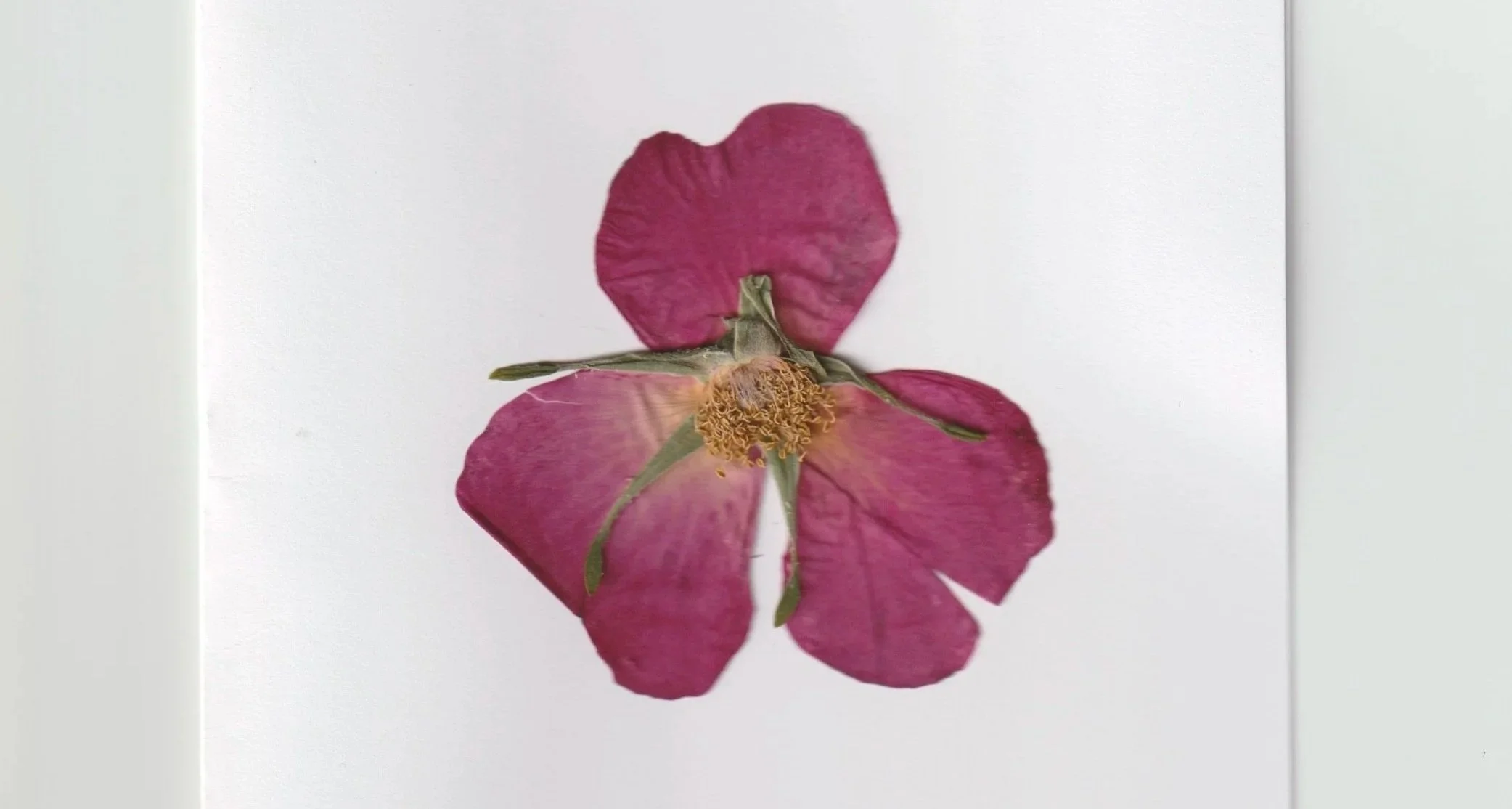 GREETING CARDS BY AYANNA