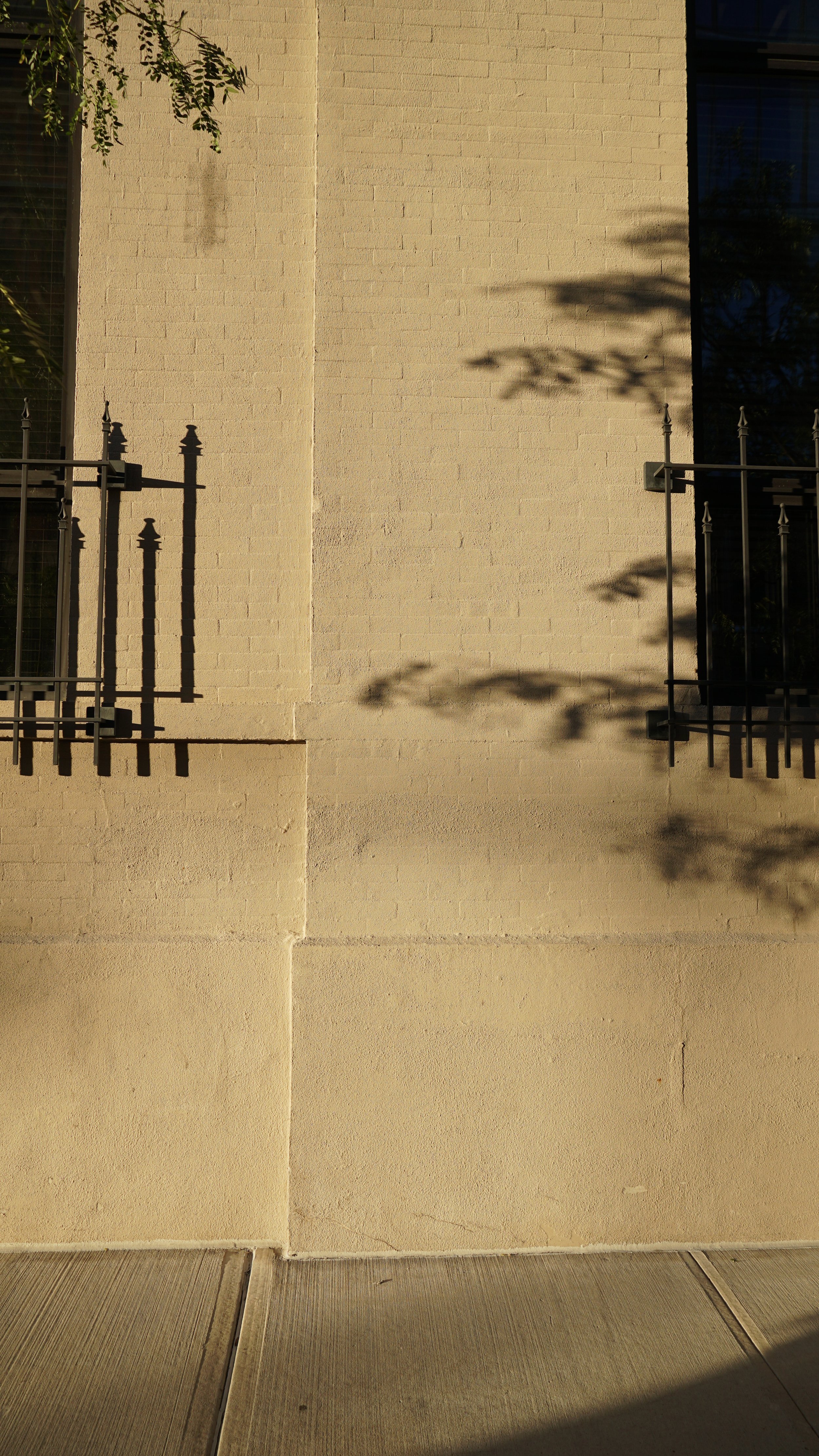 DSC07526.JPG