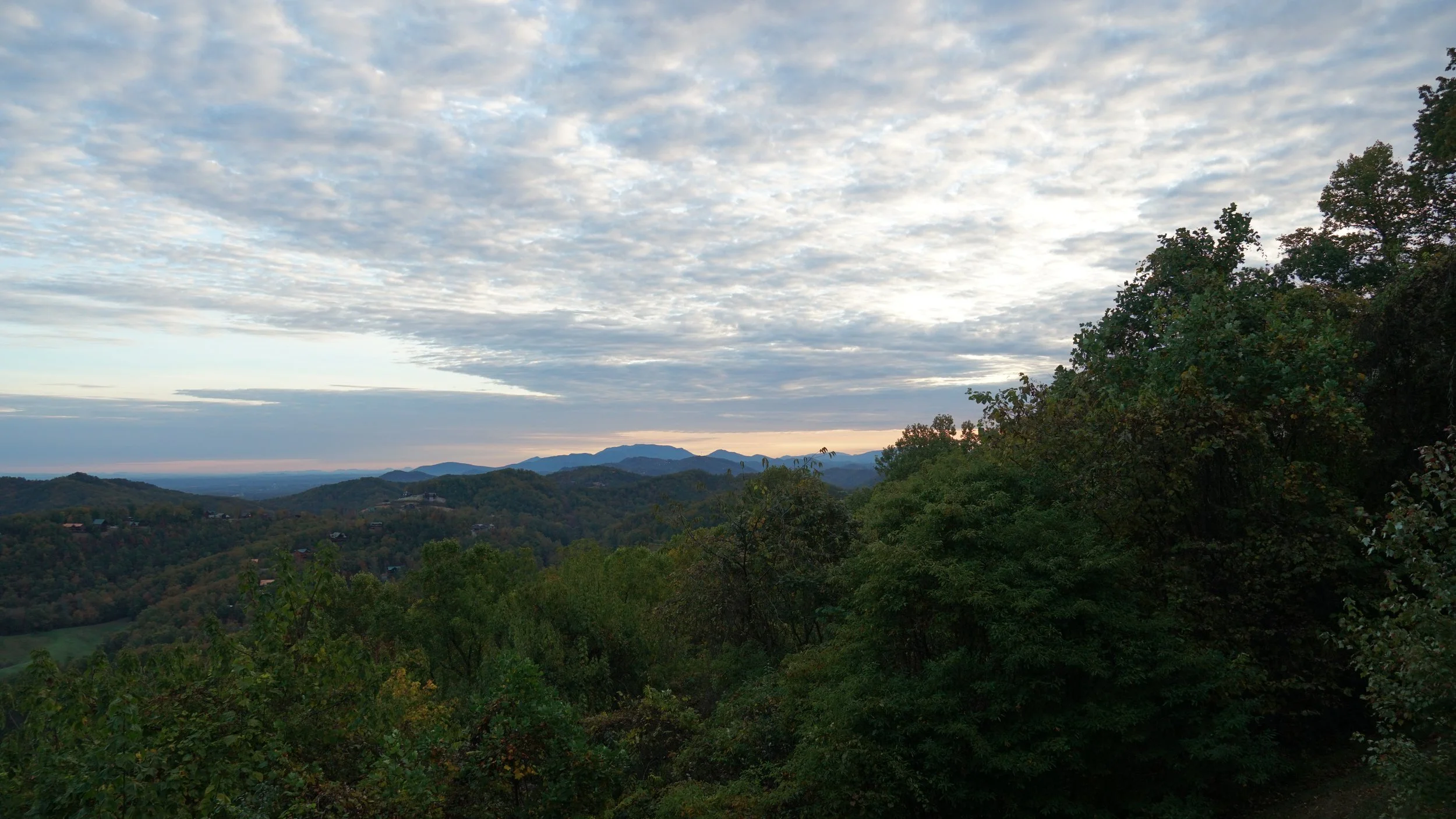 DSC07977.JPG