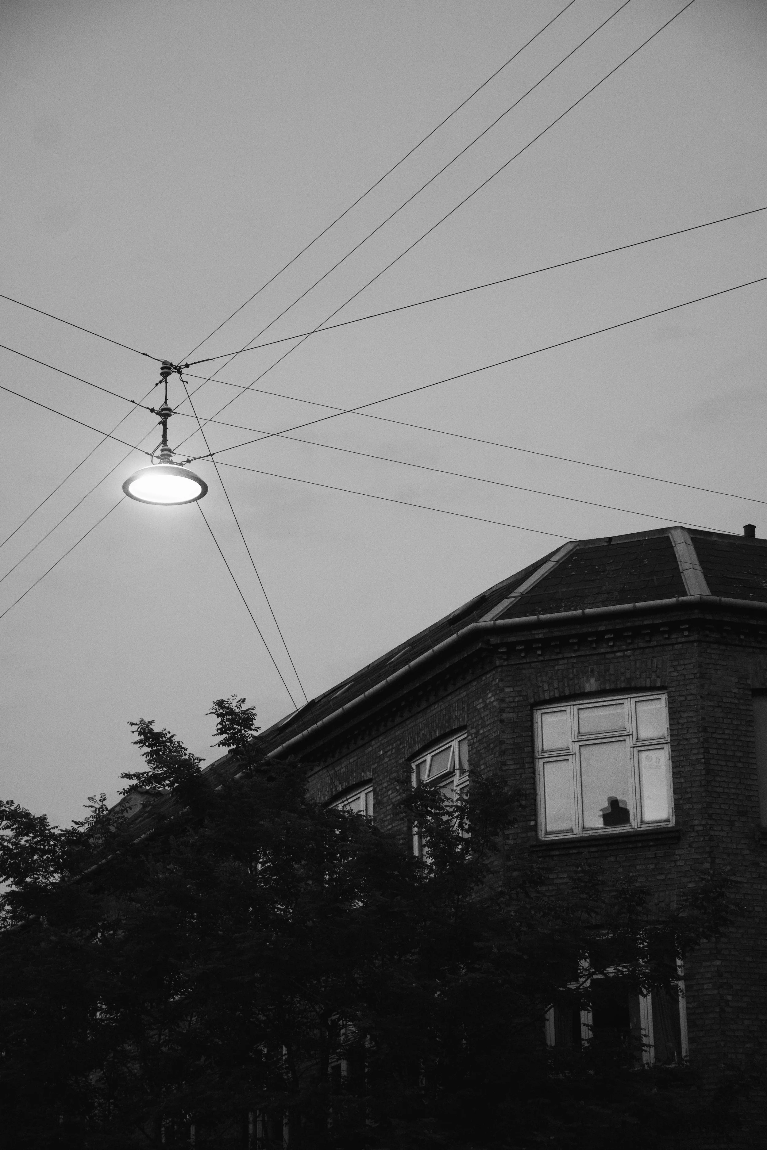 1AEE6B48-A261-4CD5-9D63-50192F57A5E9.jpeg