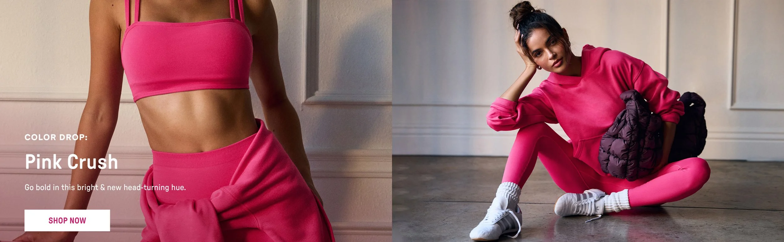 Desktop_HPHero_PinkCrush_01.jpg