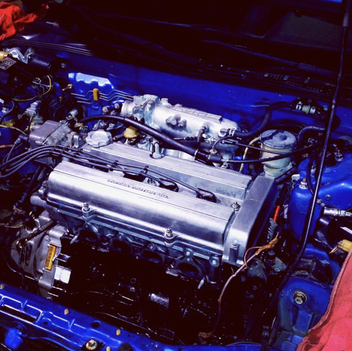 Screen Shot 2021-08-02 at 11.43.45 AM.png