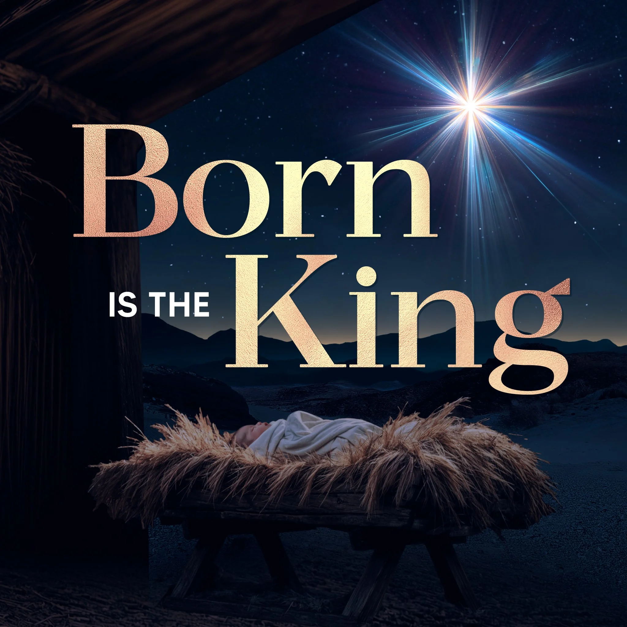 christmas_promise_born_is_the_king-2048x2048.jpg