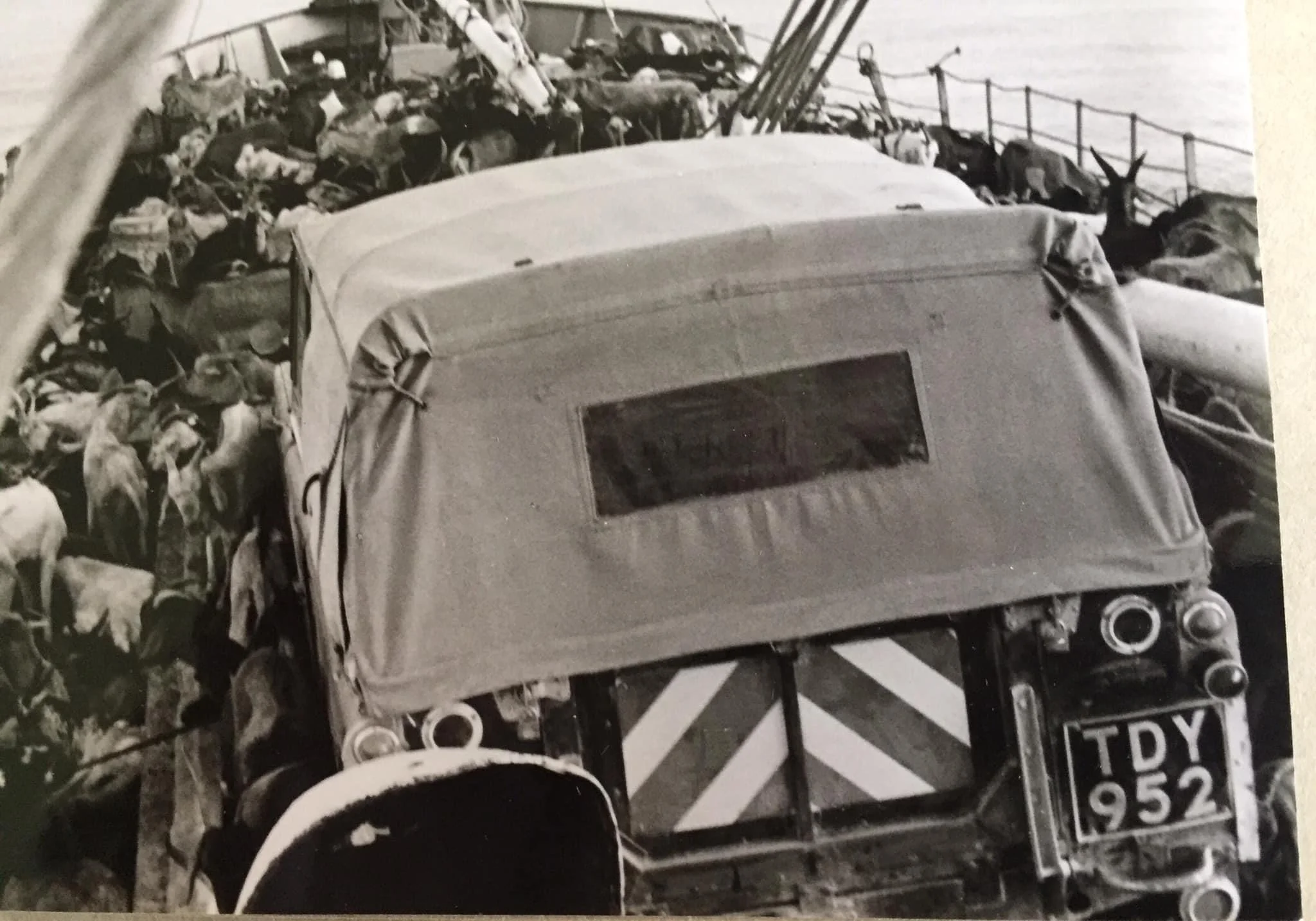 LR Series Historical Photo B&W TDY952 (2).JPG