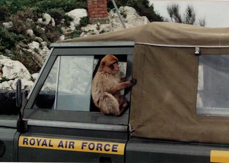 LR Series Historical Photo Colour (2).JPG