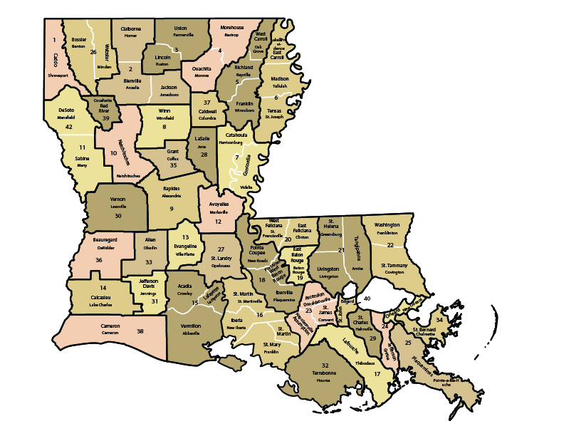 Louisiana District Courts Online