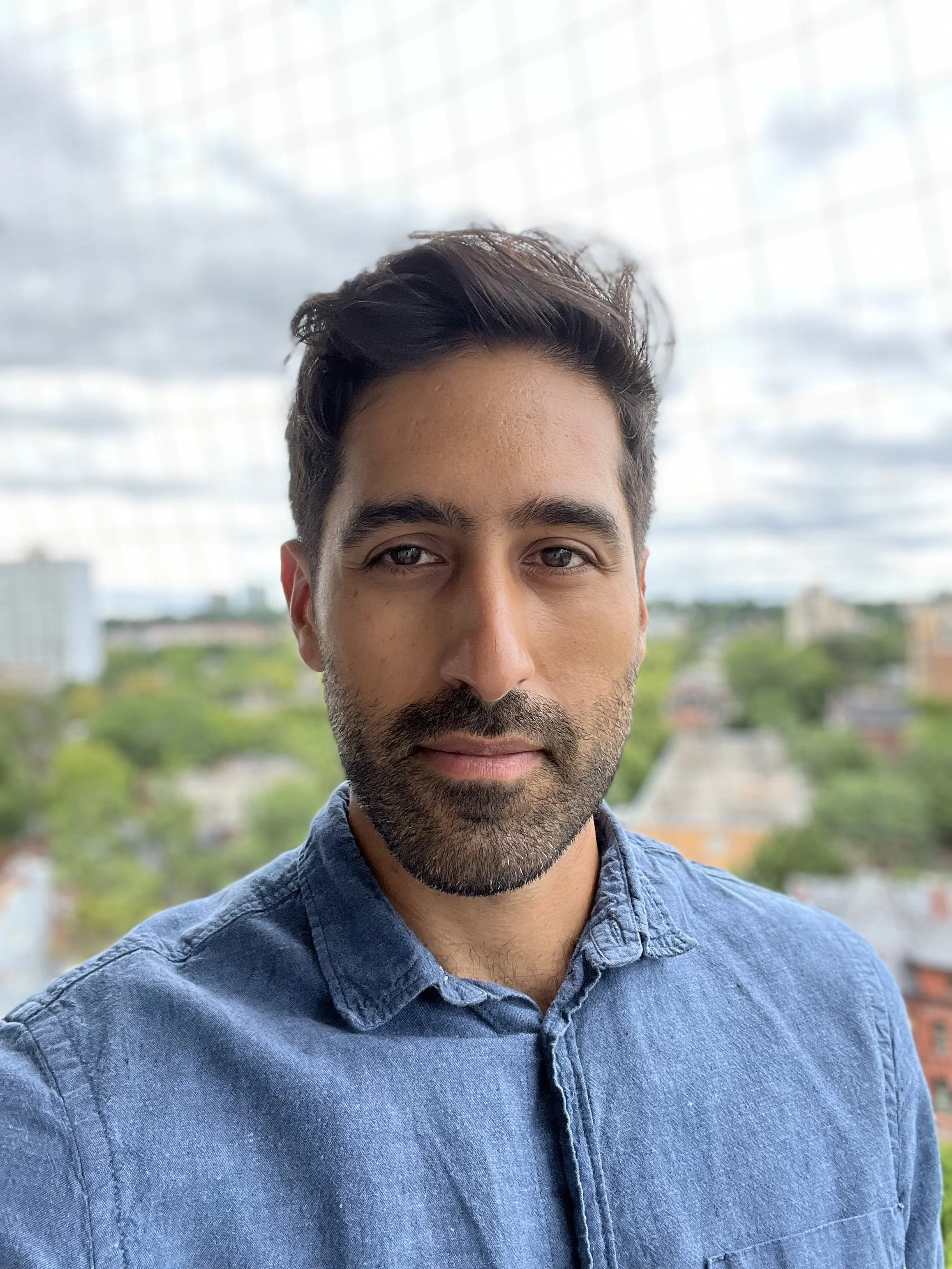 A young man with dark hair and a beard, wearing a blue denim shirt, standing against a background of cloudy sky and a cityscape with trees and buildings.