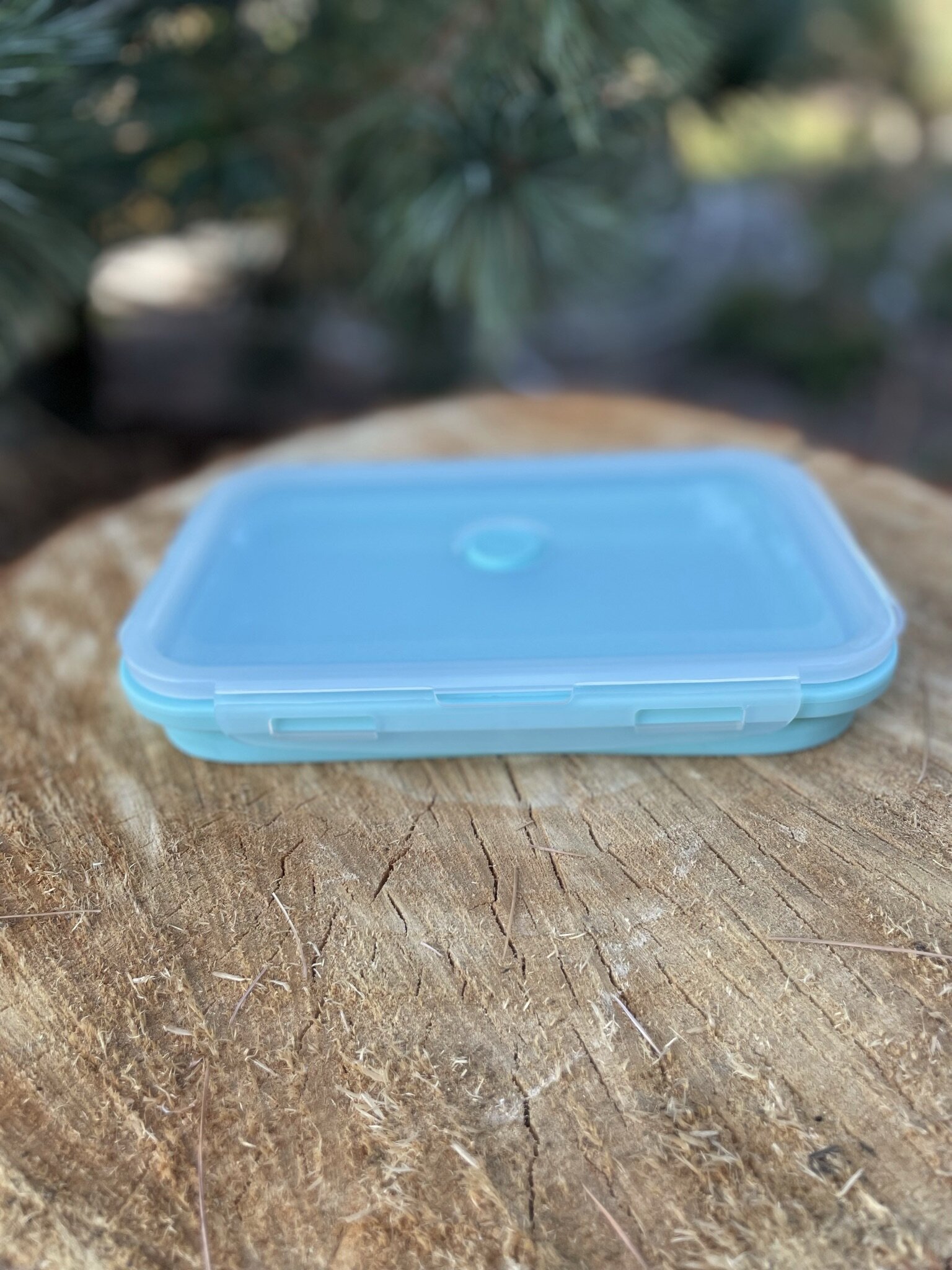 Collapsible Silicone Lunch Box