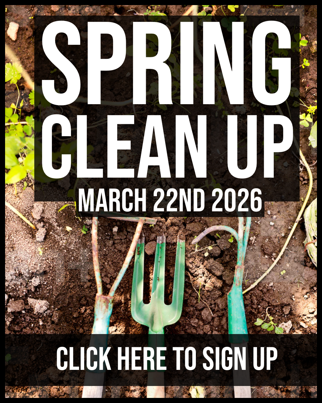 Spring Cleanup 1080x1350.png