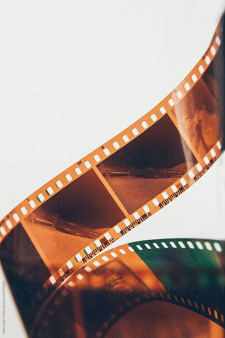 Why Film &amp; Instant Photography Is Actually Trending Again