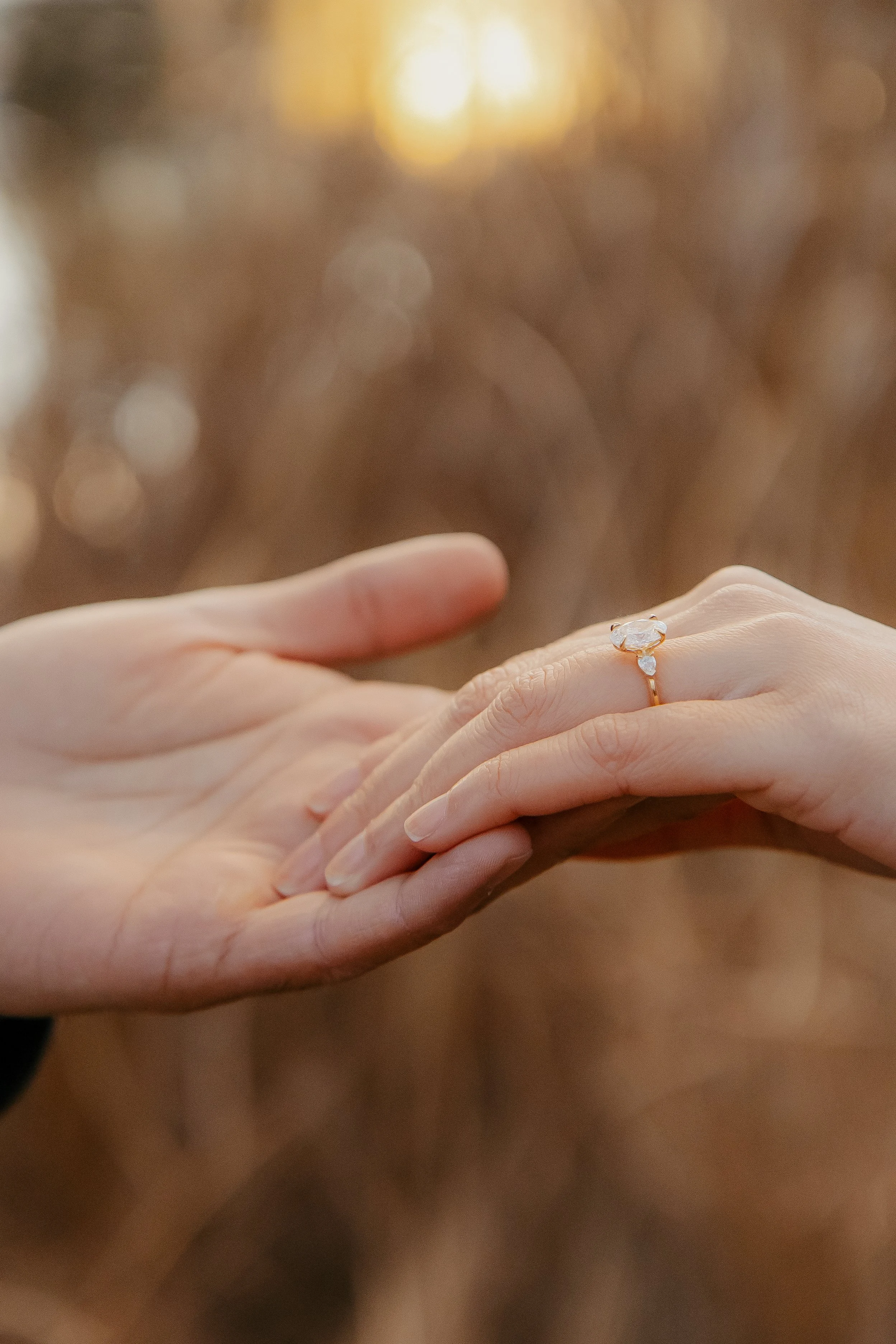 jessi-anne photography-7325.jpg