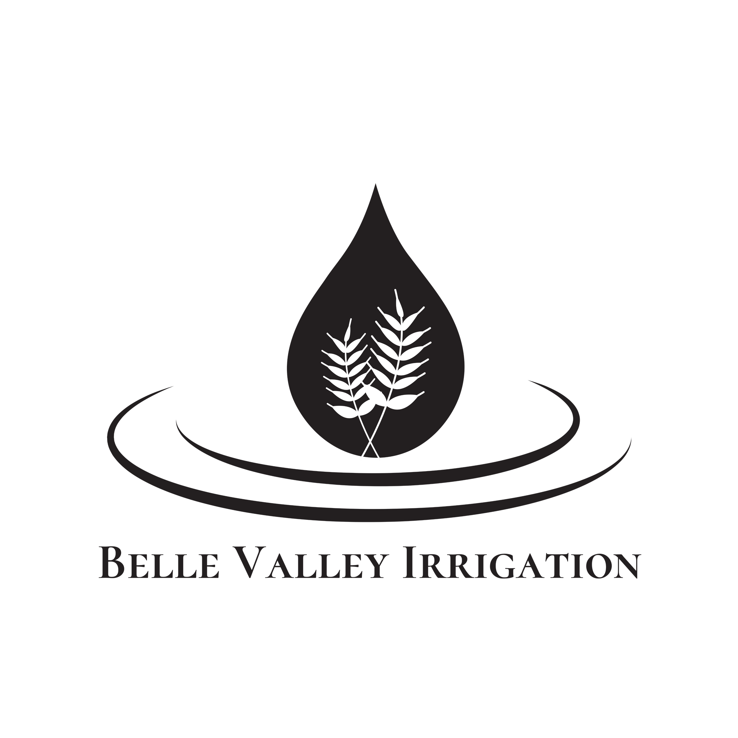 Valley Irrigation Logo