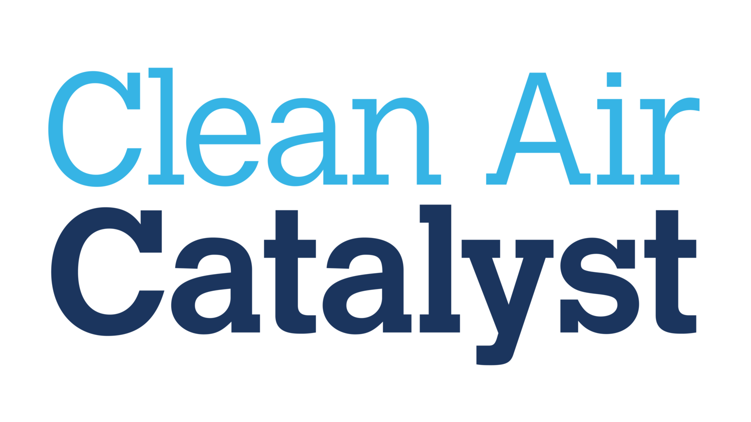 Clean Air Catalyst 