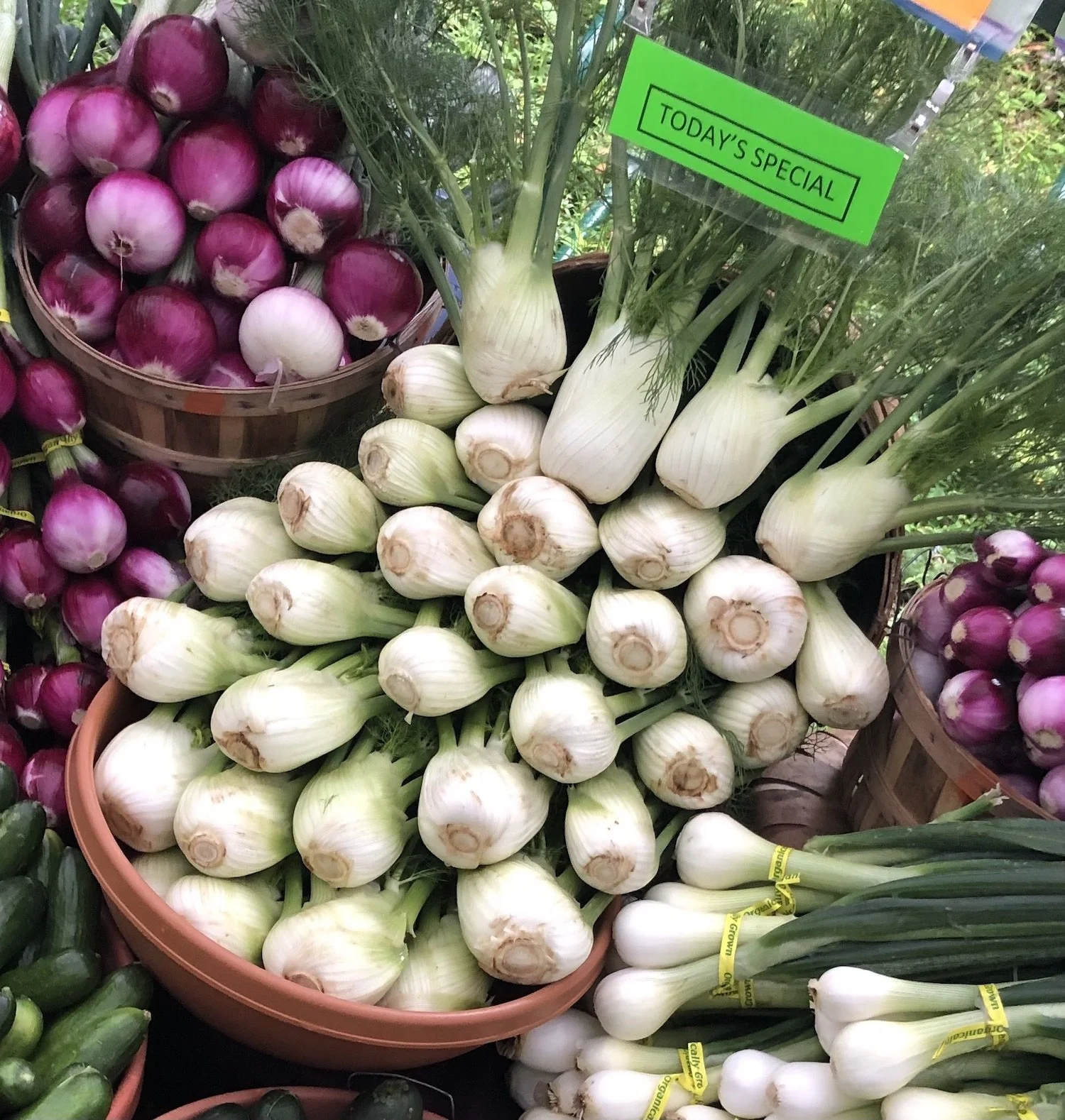 2021_Market_EOF_05.22_SPR_IMG_8900 2.jpeg