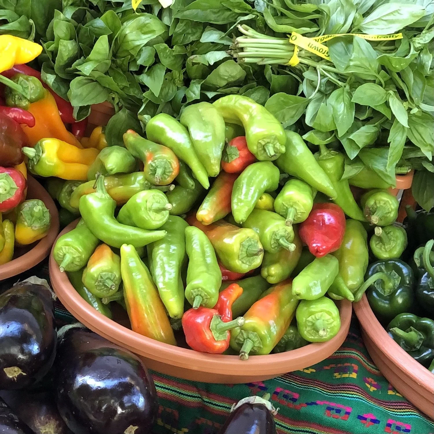 2021_Market_EOF_07.17_SUM_IMG_0136 copy.jpeg