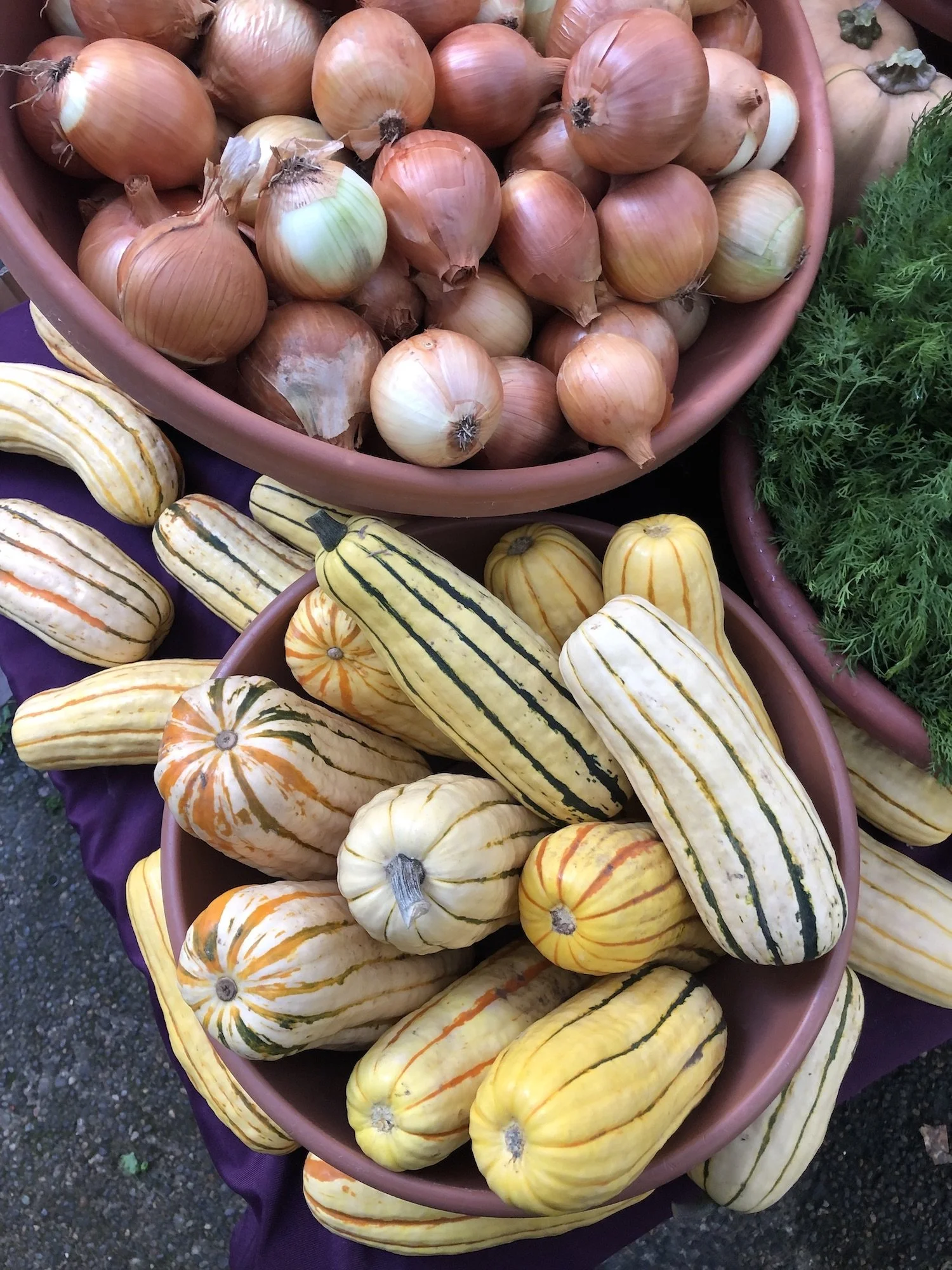 2021_Market_EOF_10.16_FALL_IMG_1695.jpeg
