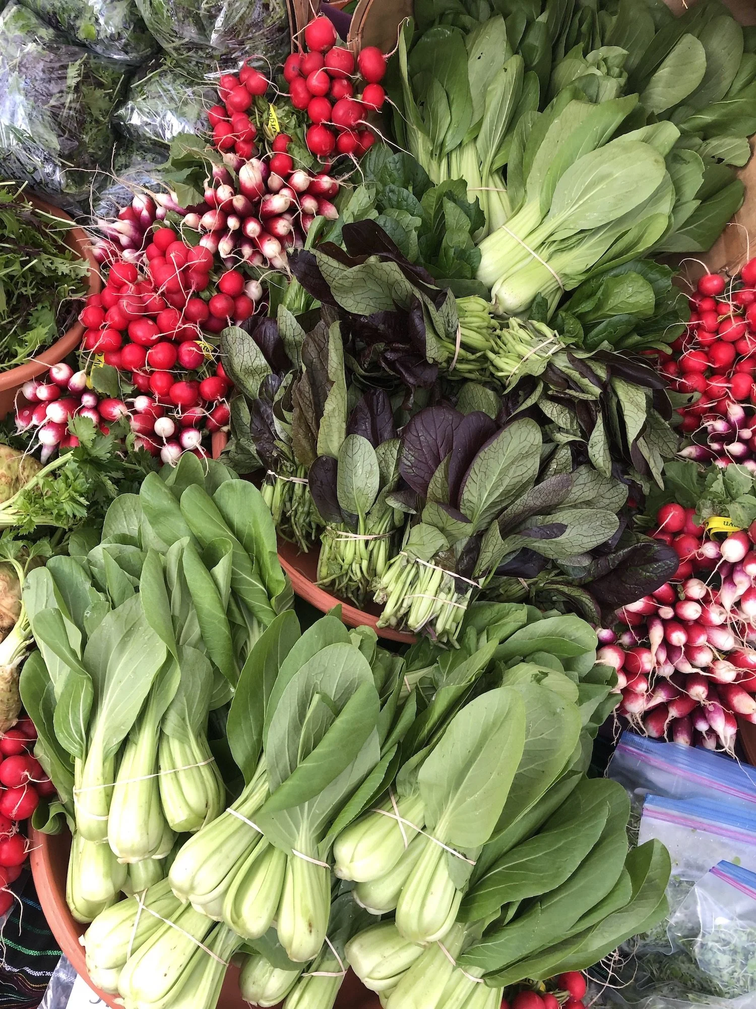 2021_Market_EOF_11.20_FALL_IMG_2183.jpeg