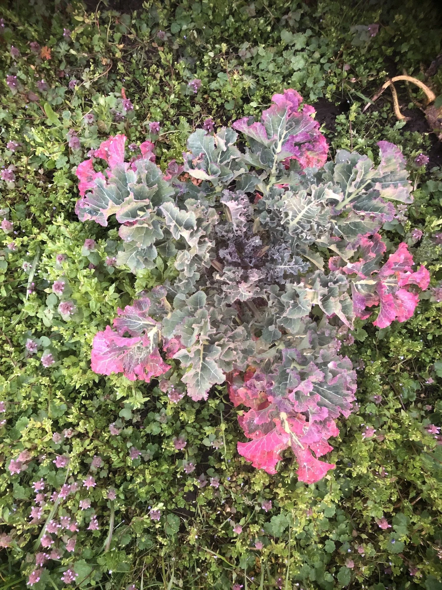 2021_GTF_CSA_1.Winter_Week 8_IMG_5740.jpeg