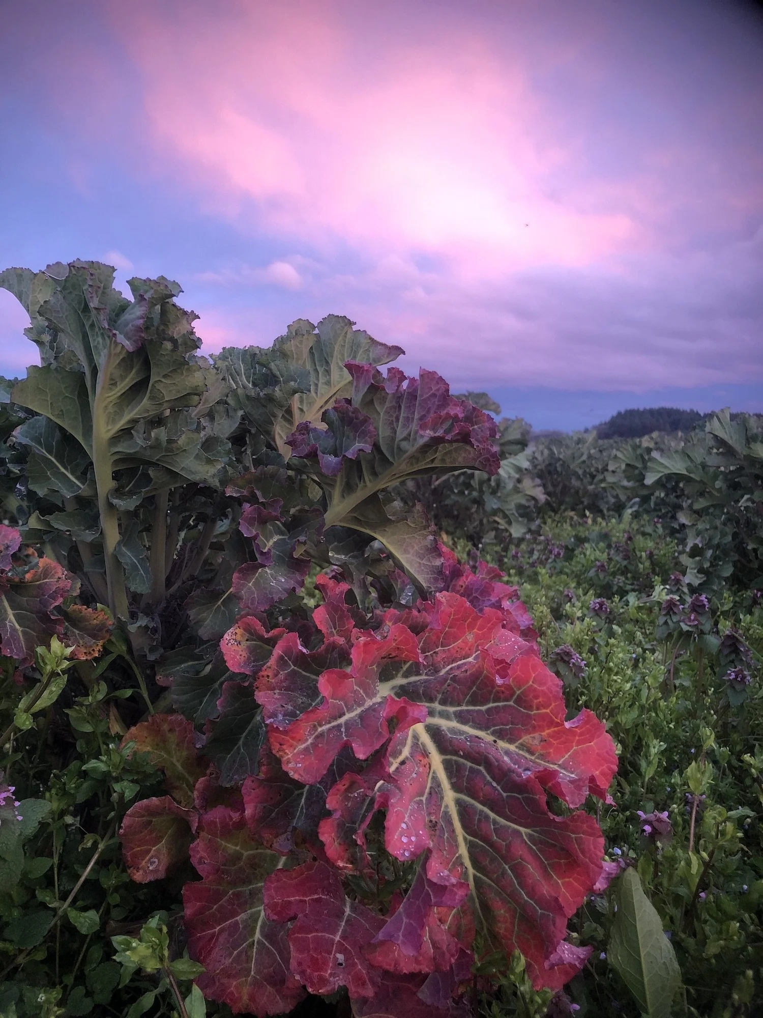 2021_GTF_CSA_1.Winter_Week 8_IMG_5744.jpeg