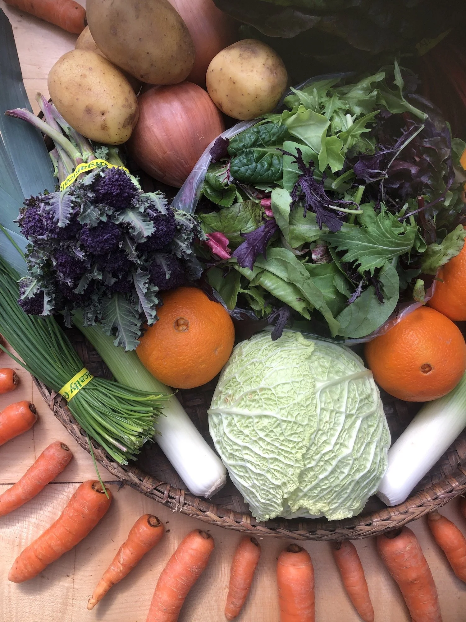 2021_GTF_CSA_1.Winter_Week 8_IMG_5882.jpeg