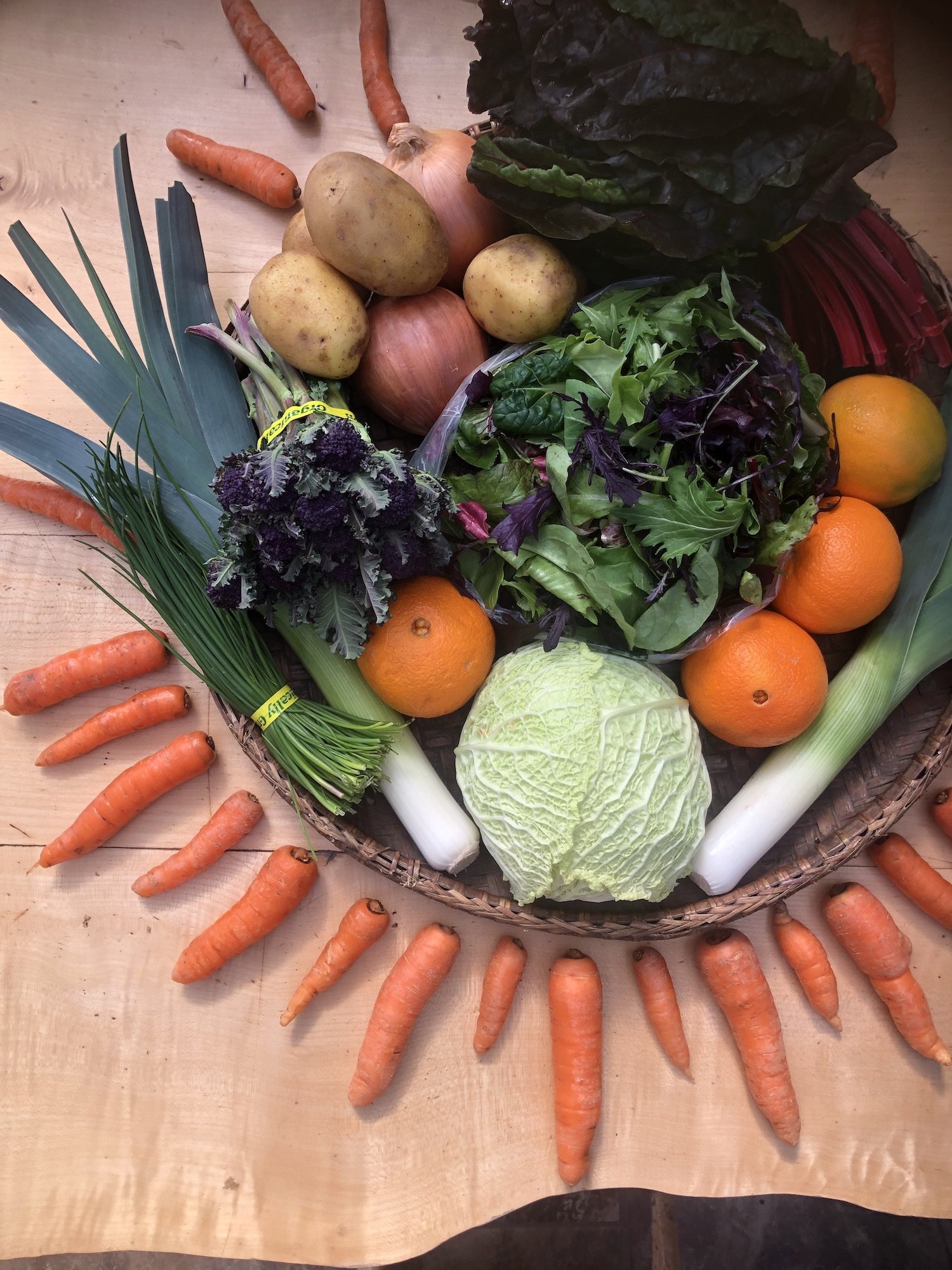 2021_GTF_CSA_1.Winter_Week 8_IMG_5881.jpeg