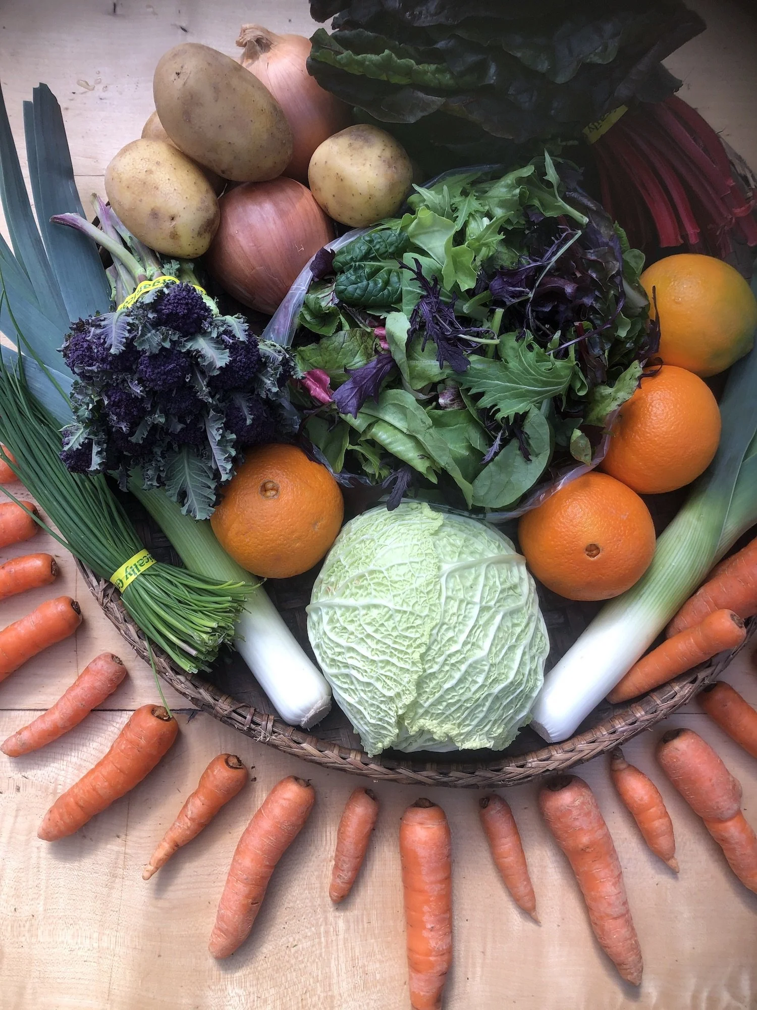 2021_GTF_CSA_1.Winter_Week 8_IMG_5892.jpeg