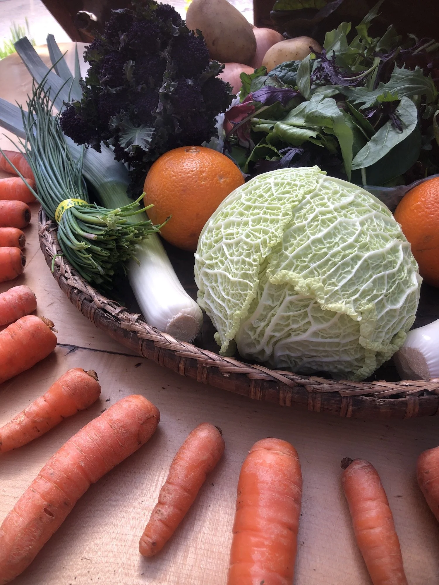 2021_GTF_CSA_1.Winter_Week 8_IMG_5894.jpeg