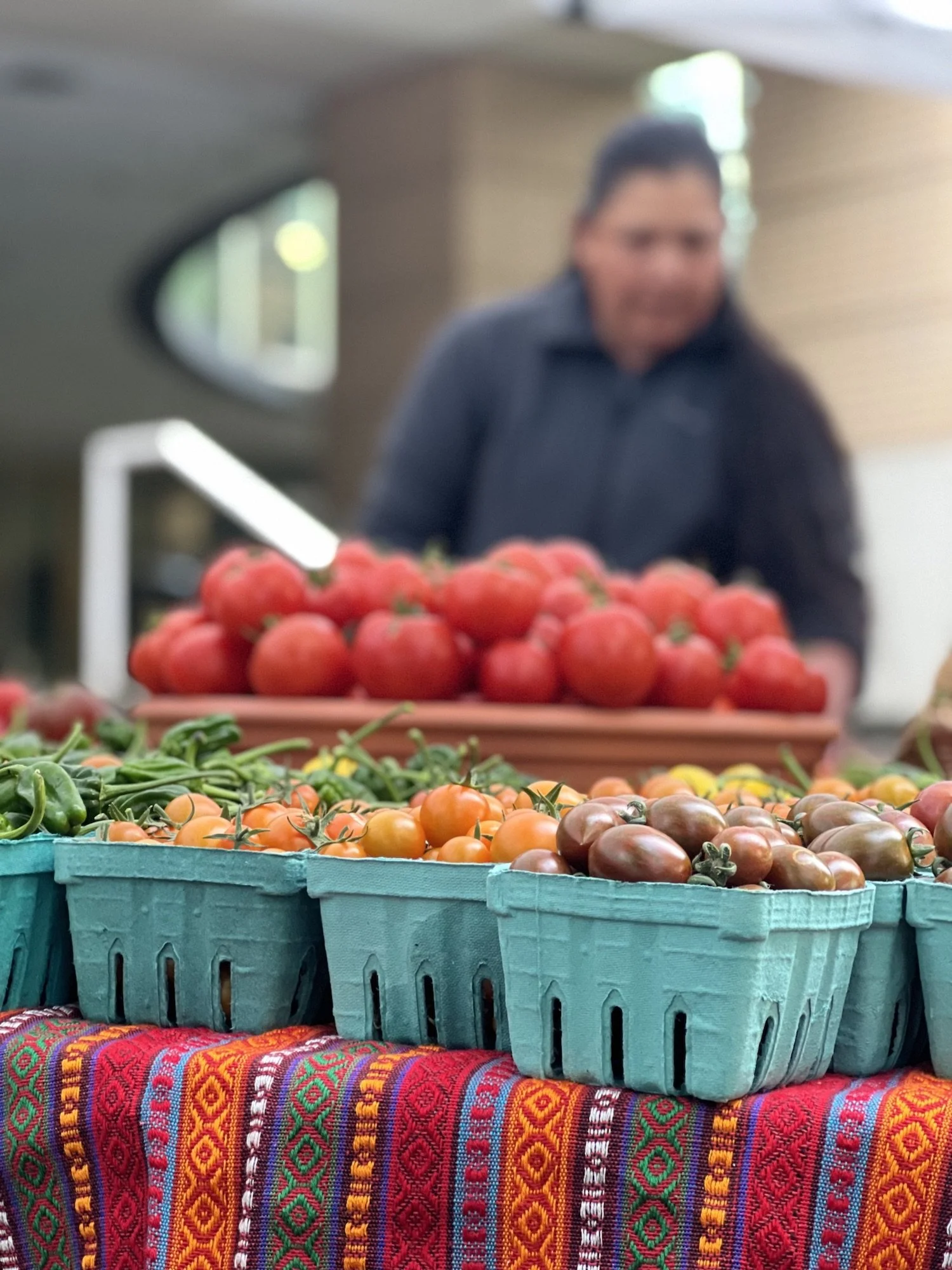 IMG_7334_06.18_cherry tomato_Vicky.jpeg