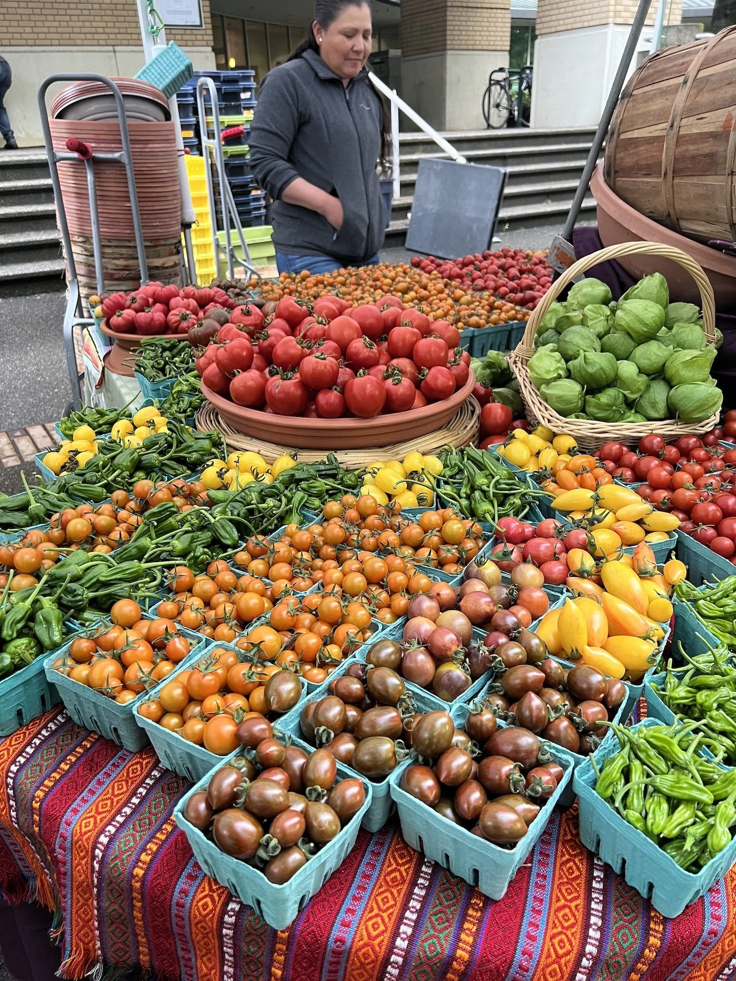IMG_7335_06.18_cherry tomato.jpeg