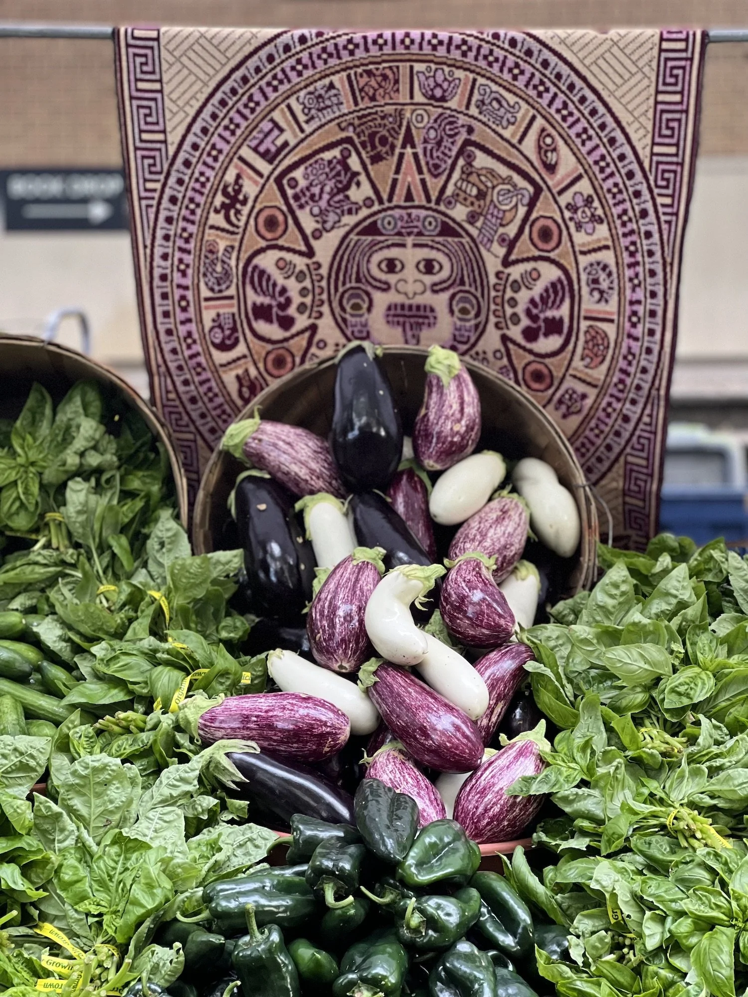 IMG_7340_06.18_eggplant.jpeg