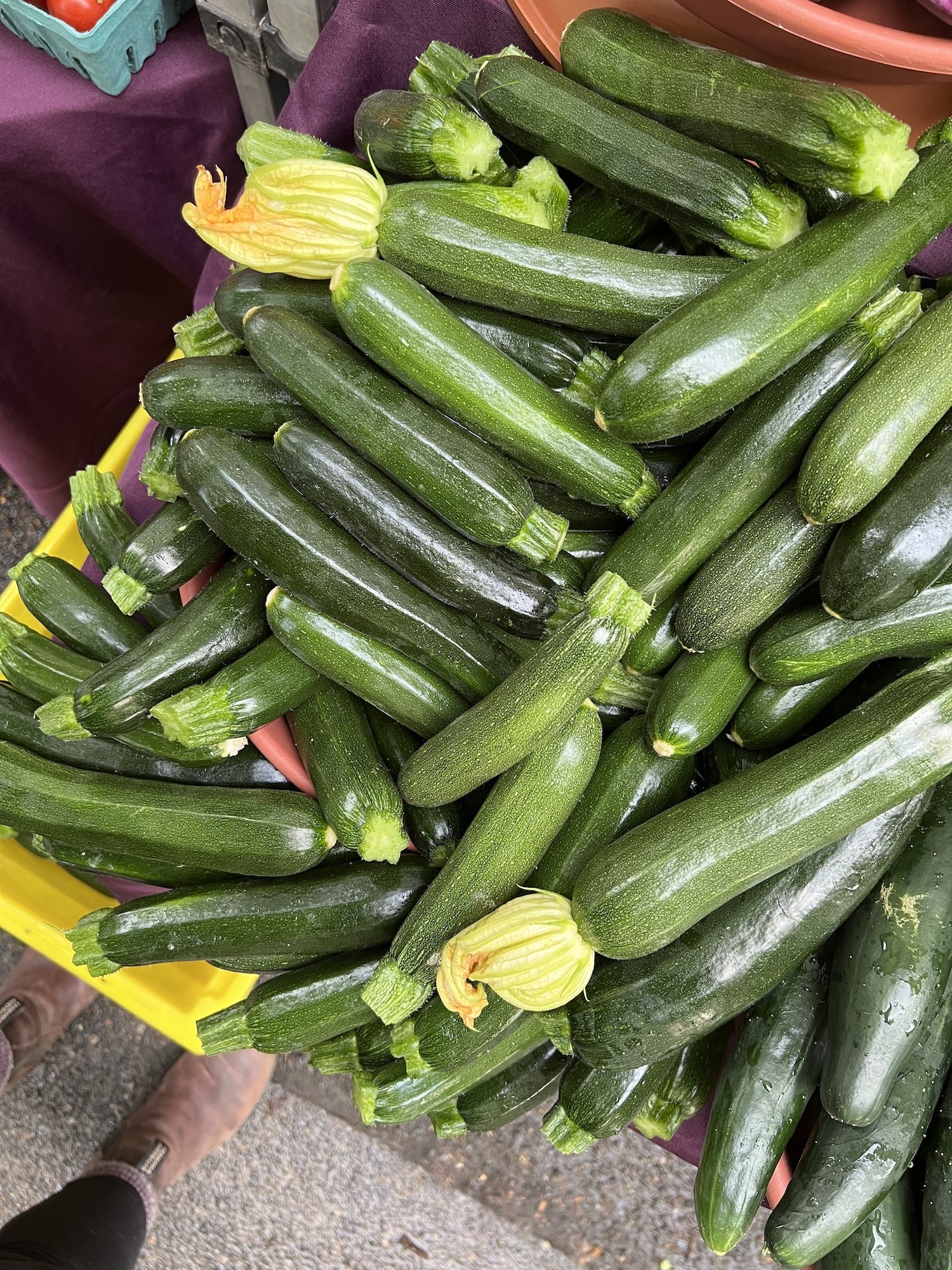 IMG_7350_06.18_zucchini.jpeg
