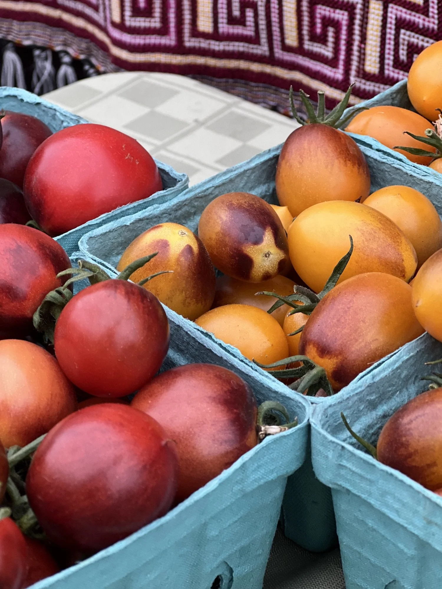 IMG_7362_06.18_cherry tomato.jpeg