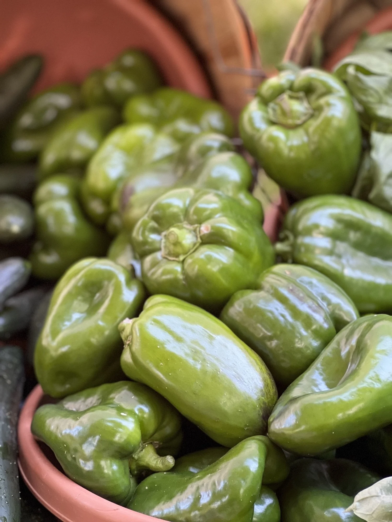 IMG_7473_06.25_peppers.jpeg