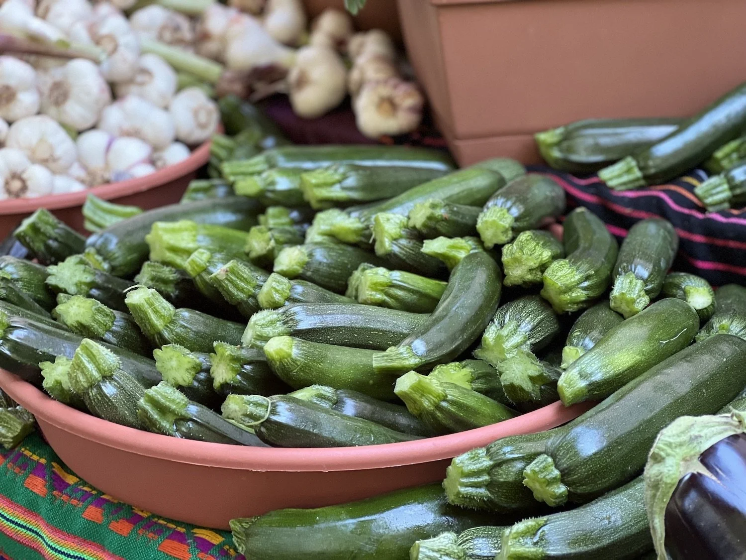 IMG_7470_06.25_zucchini.jpeg