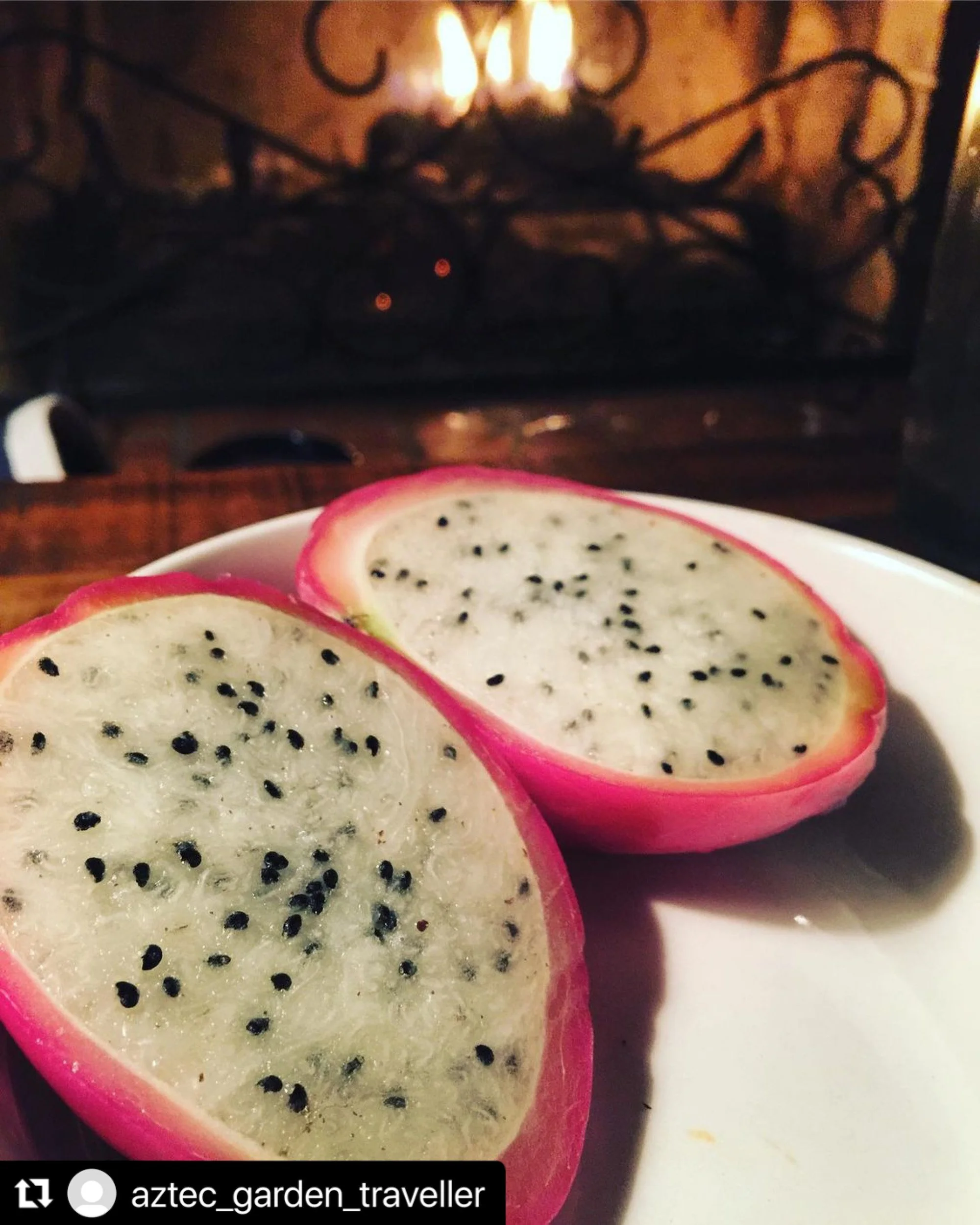 Peruvian Apple Cactus_1_RanchoCharanda.JPG