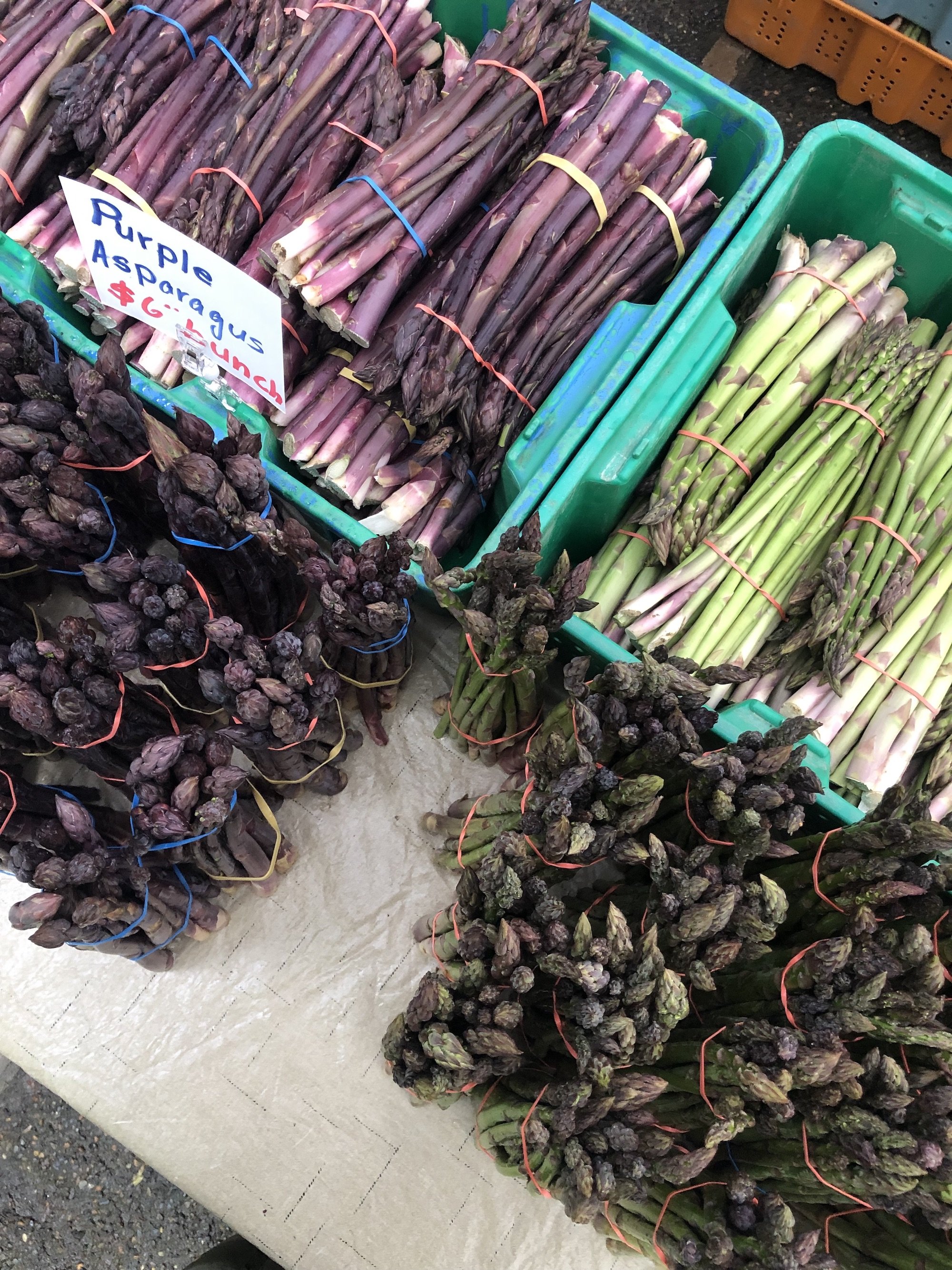 IMG_6945_asparagus.jpeg