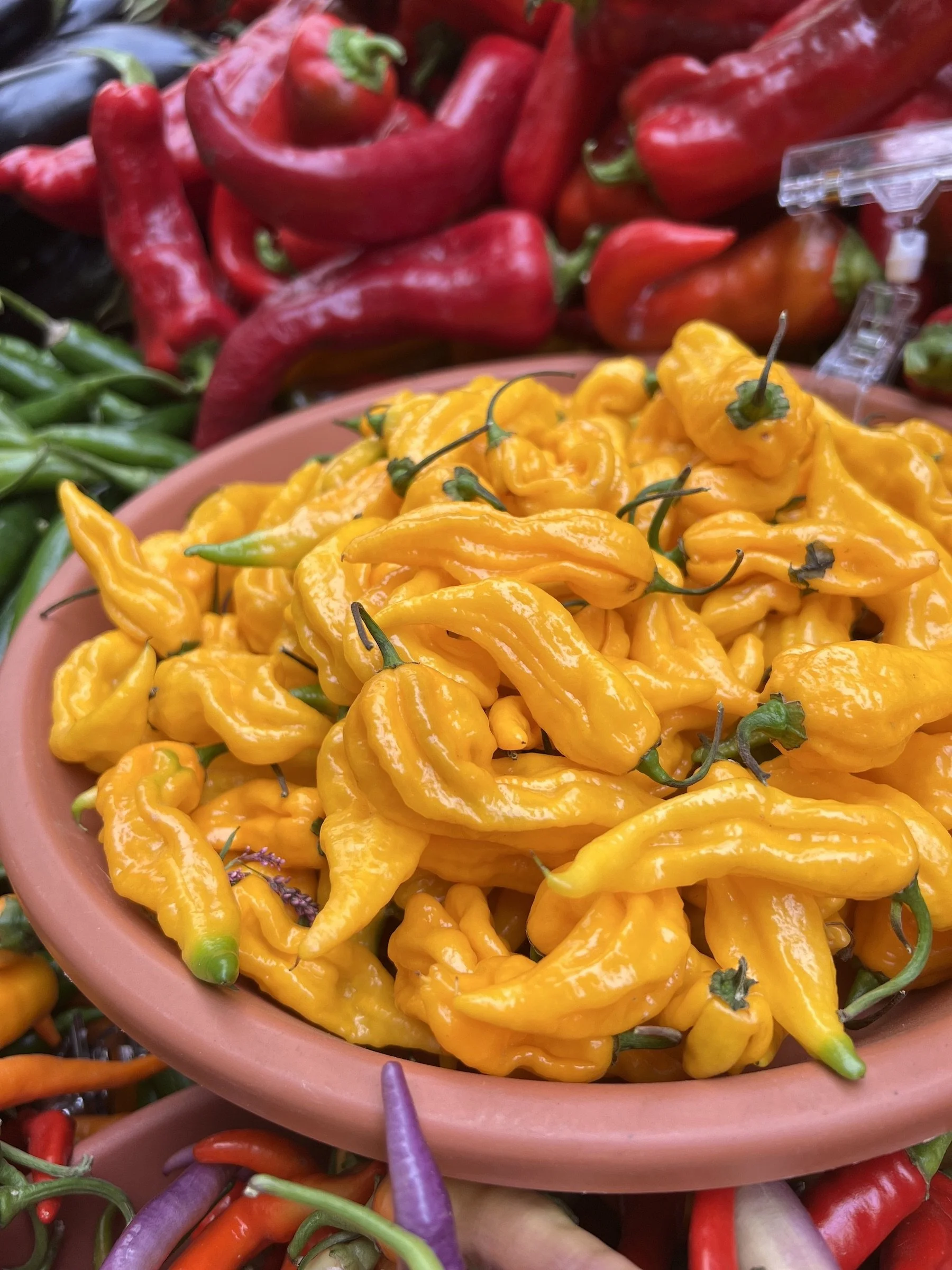 IMG_9787_2022.09.10_Market_EOF_peppers.jpeg