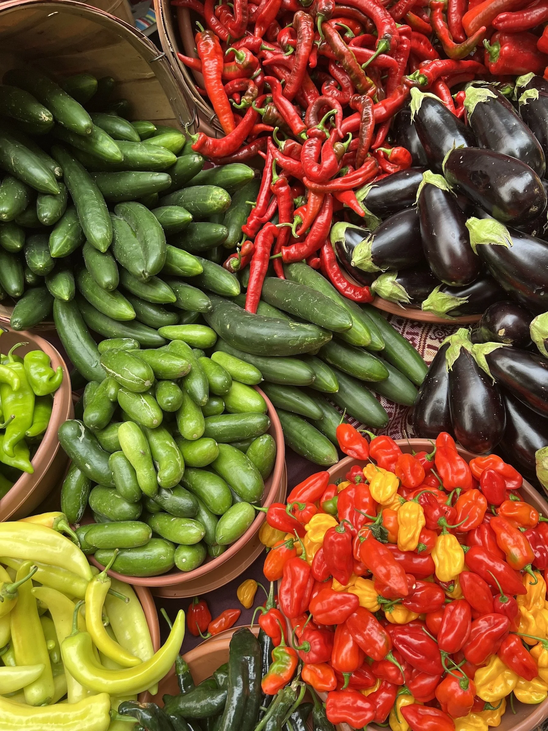 IMG_9792_2022.09.10_Market_EOF_peppers.jpeg