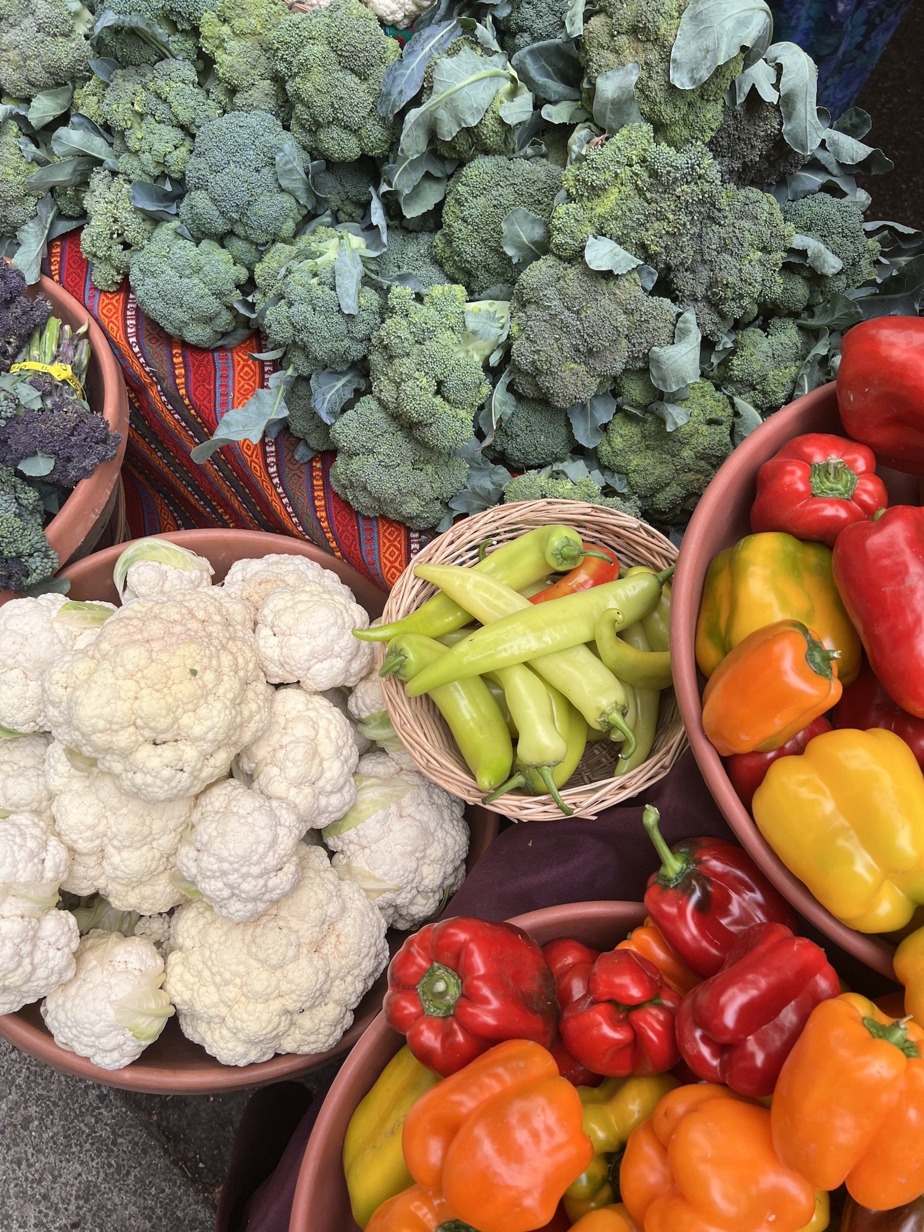 IMG_9793_2022.09.10_Market_EOF_peppers.jpeg